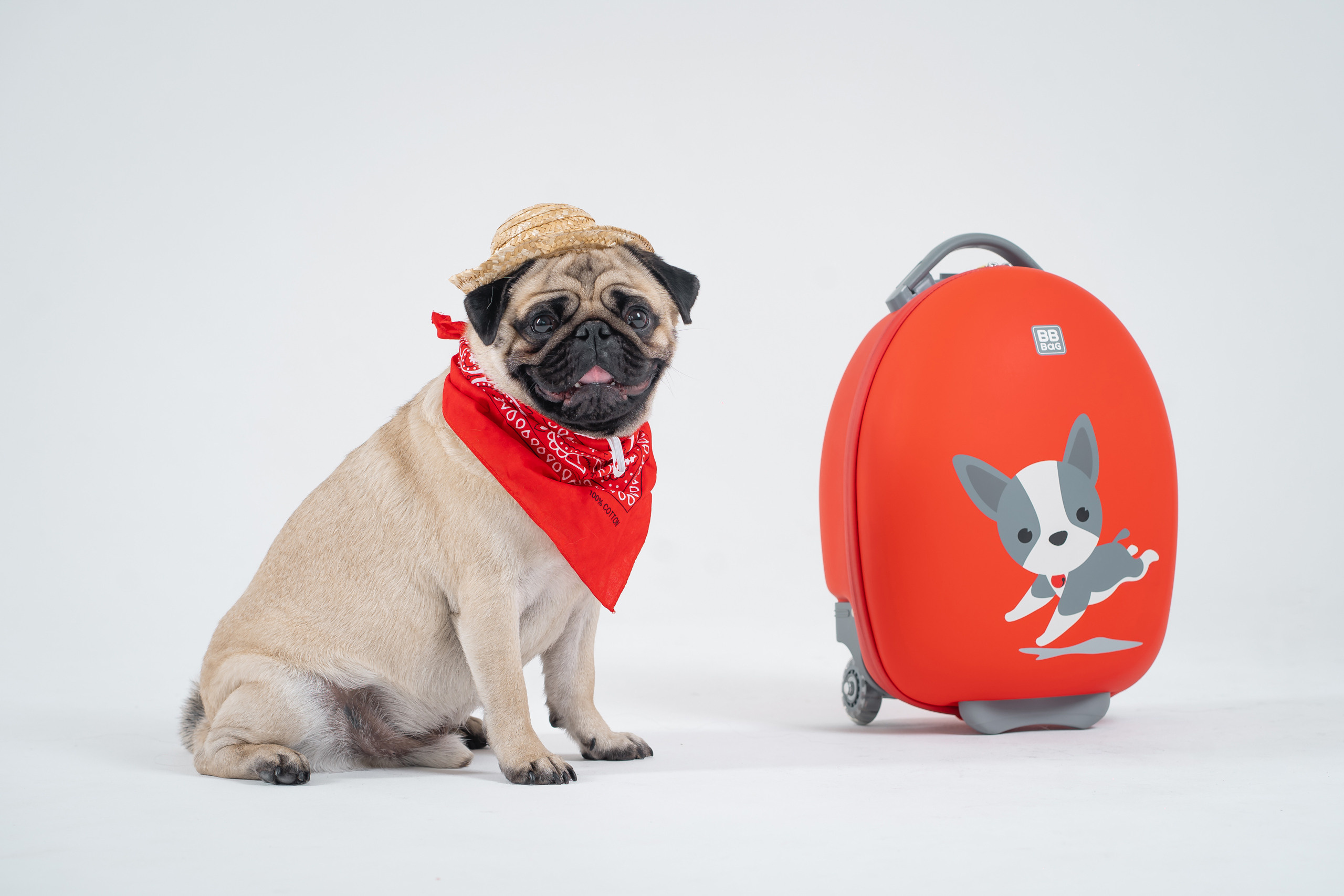 Туристическое агенство Tour Is Me. Фотограф Лосев Артём