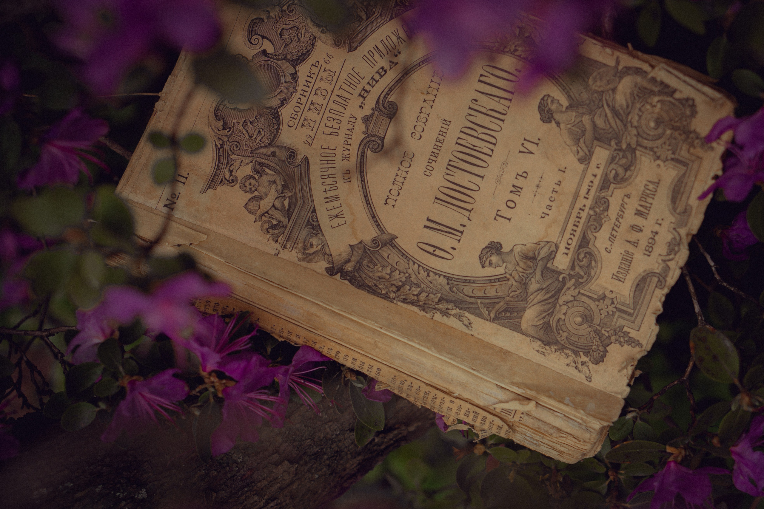 Викторианская романтика. Художественный фотограф Салаева Алина