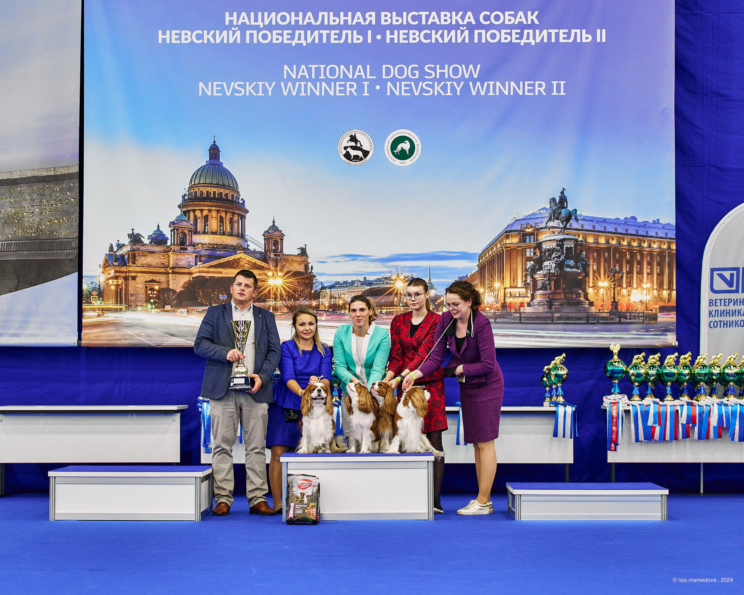 РЕЙТИНГОВАЯ ВЫСТАВКА СОБАК ВСЕХ ПОРОД С ОСОБЫМ СТАТУСОМ"НЕВСКИЙ ПОБЕДИТЕЛЬ-2024-1"