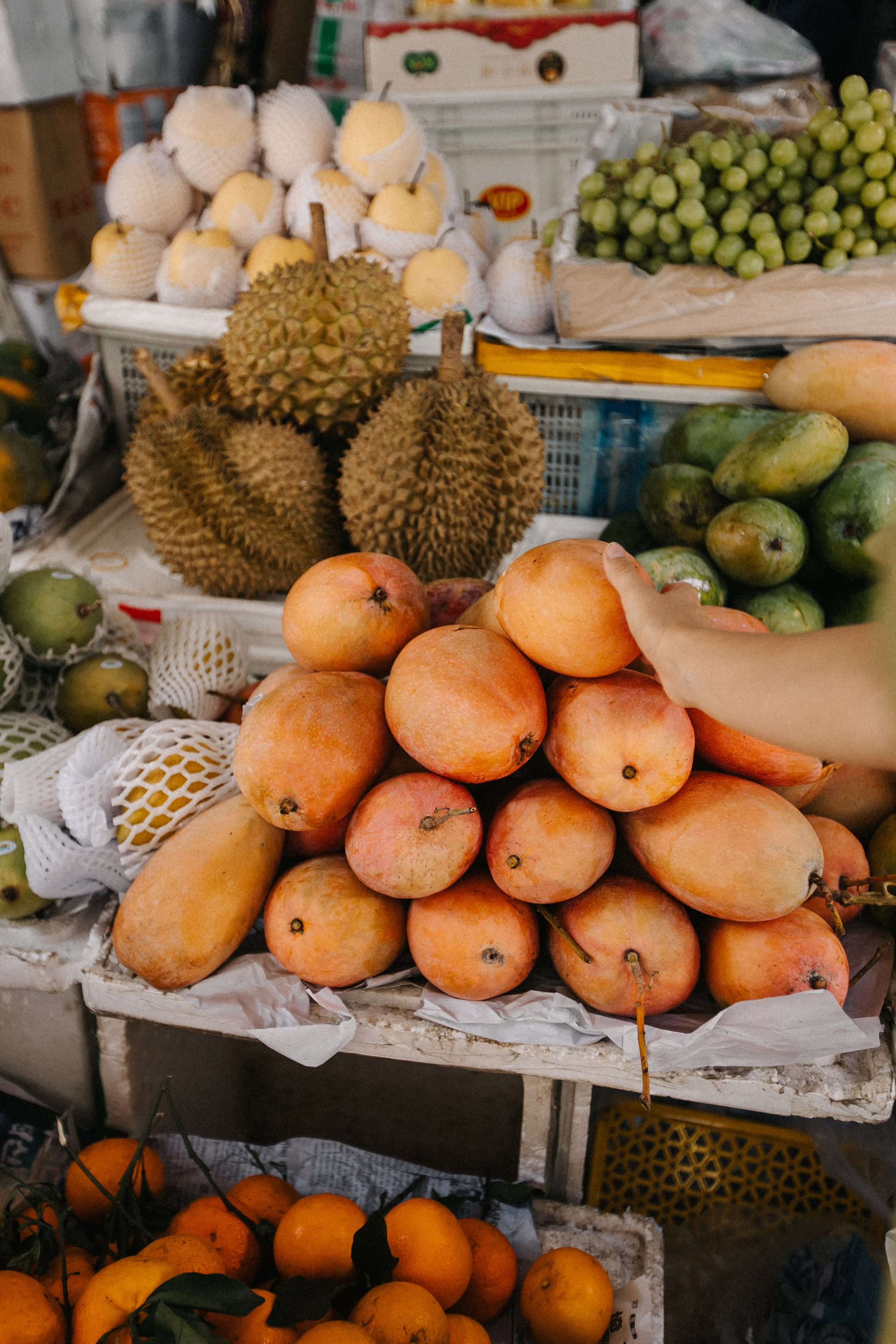 Nha Trang, Vietnam. Свадебный фотограф Москва и МО Паншина Дарья