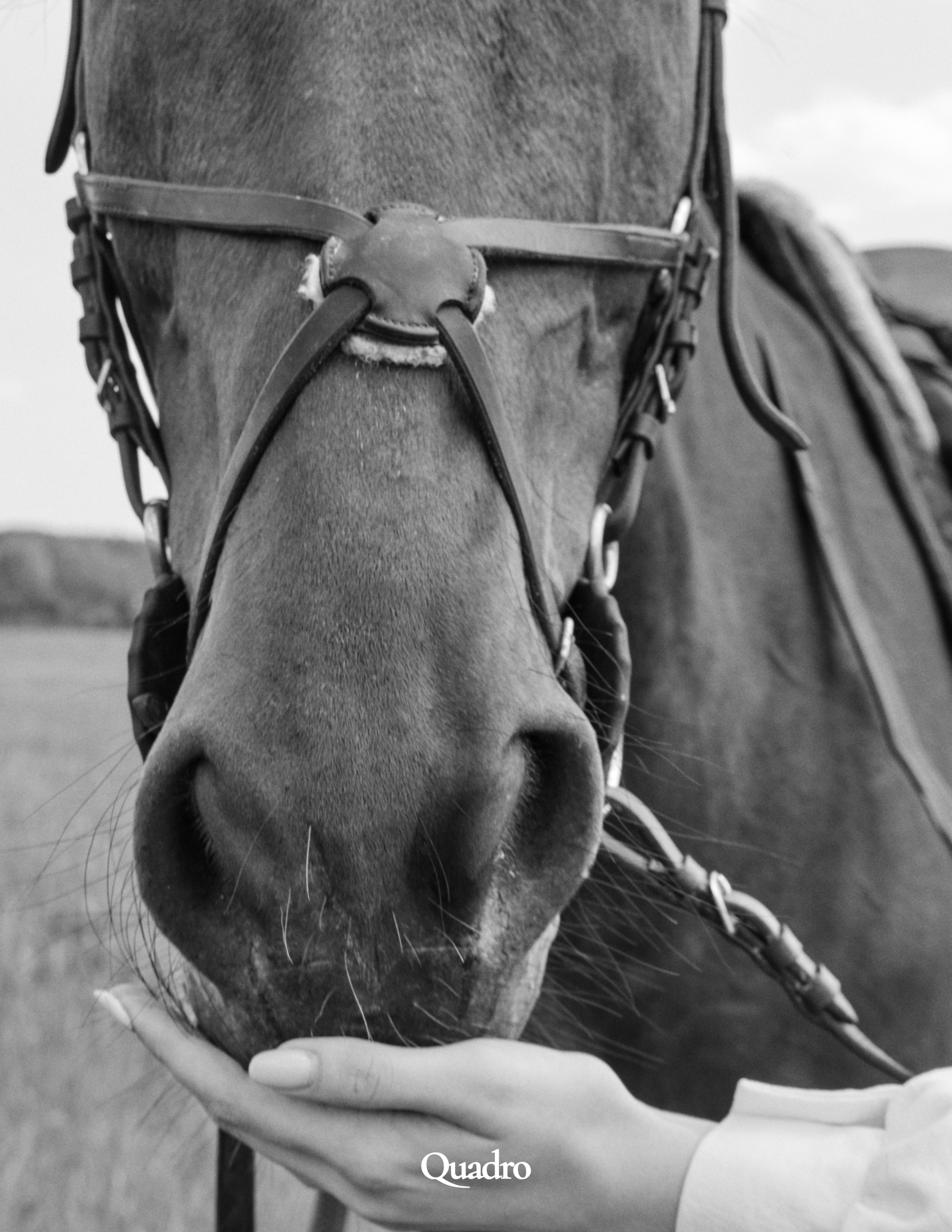 Публикации в журналах. Фотограф в Екатеринбурге Татьяна Соколовская