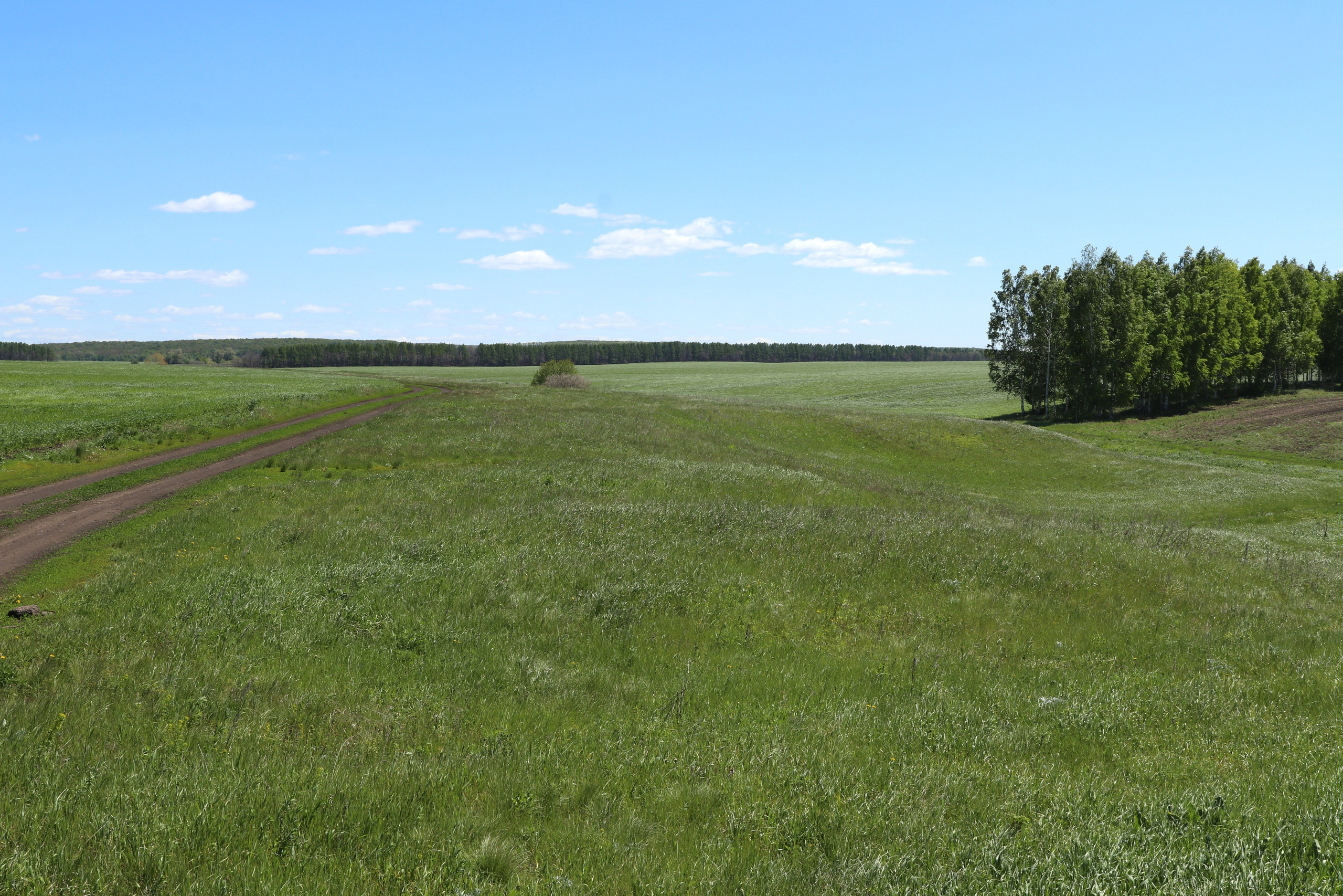 Велопоход Уфа — Мелеуз. Май 2024. Путешественник-фотограф из Санкт-Петербурга Татьяна Свистулина