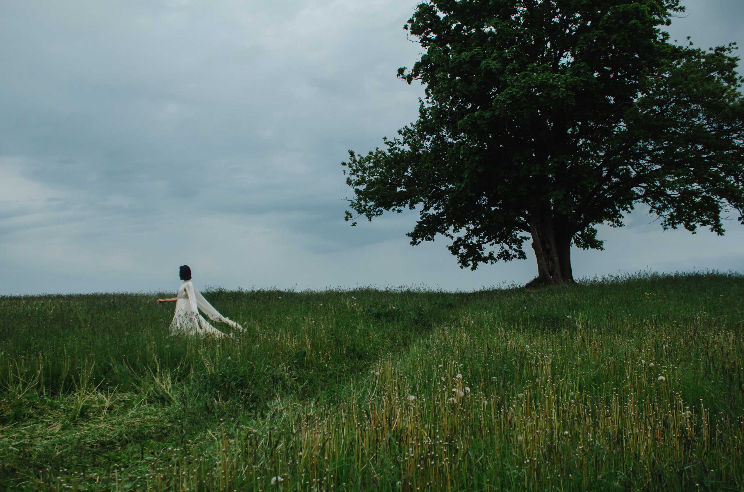 Съемка в поле, летняя фотосессия. Ольга Степанова фотограф визажист в Санкт-Петербурге