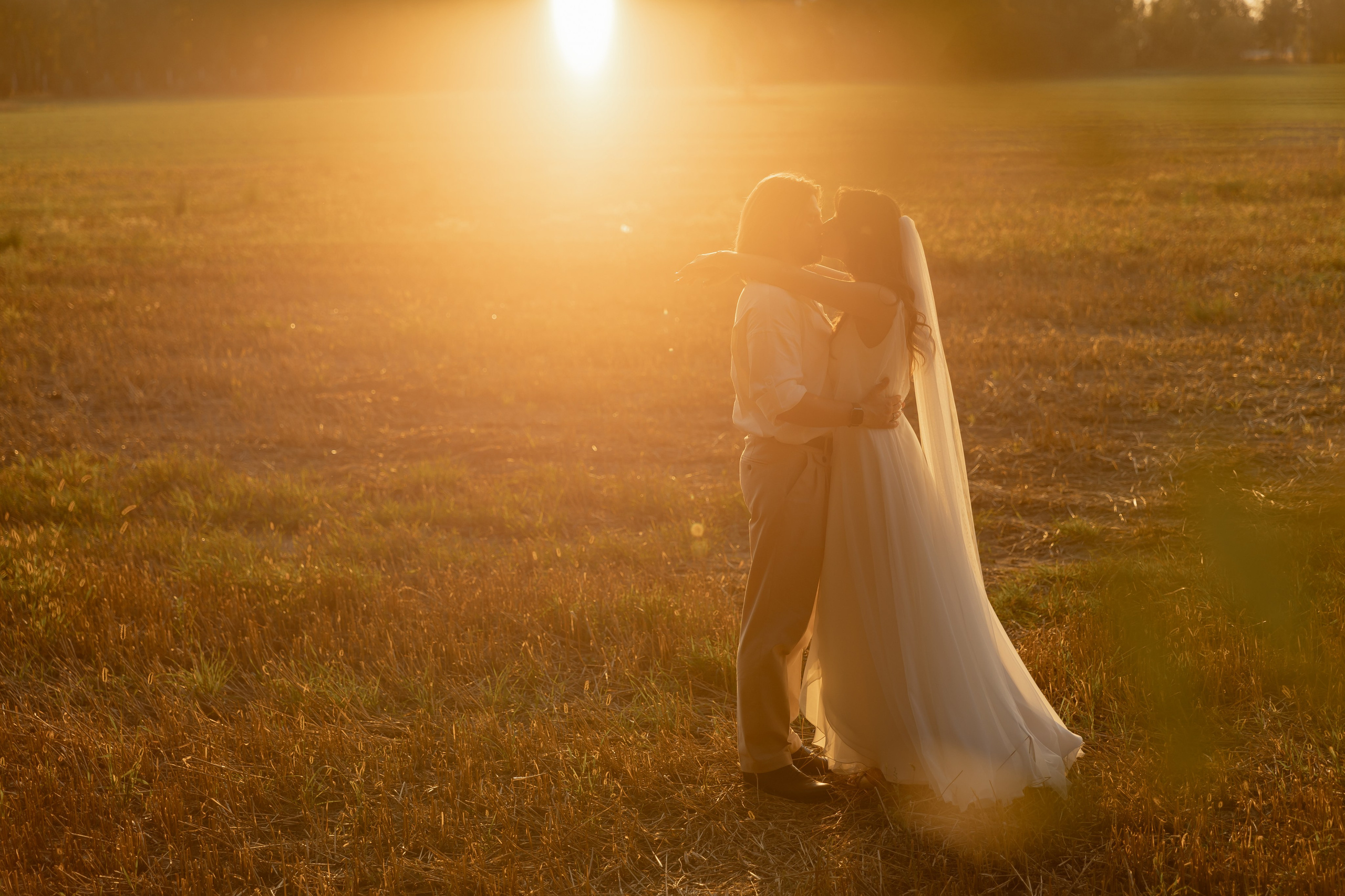 Виноградники. Dima Lemeshevsky