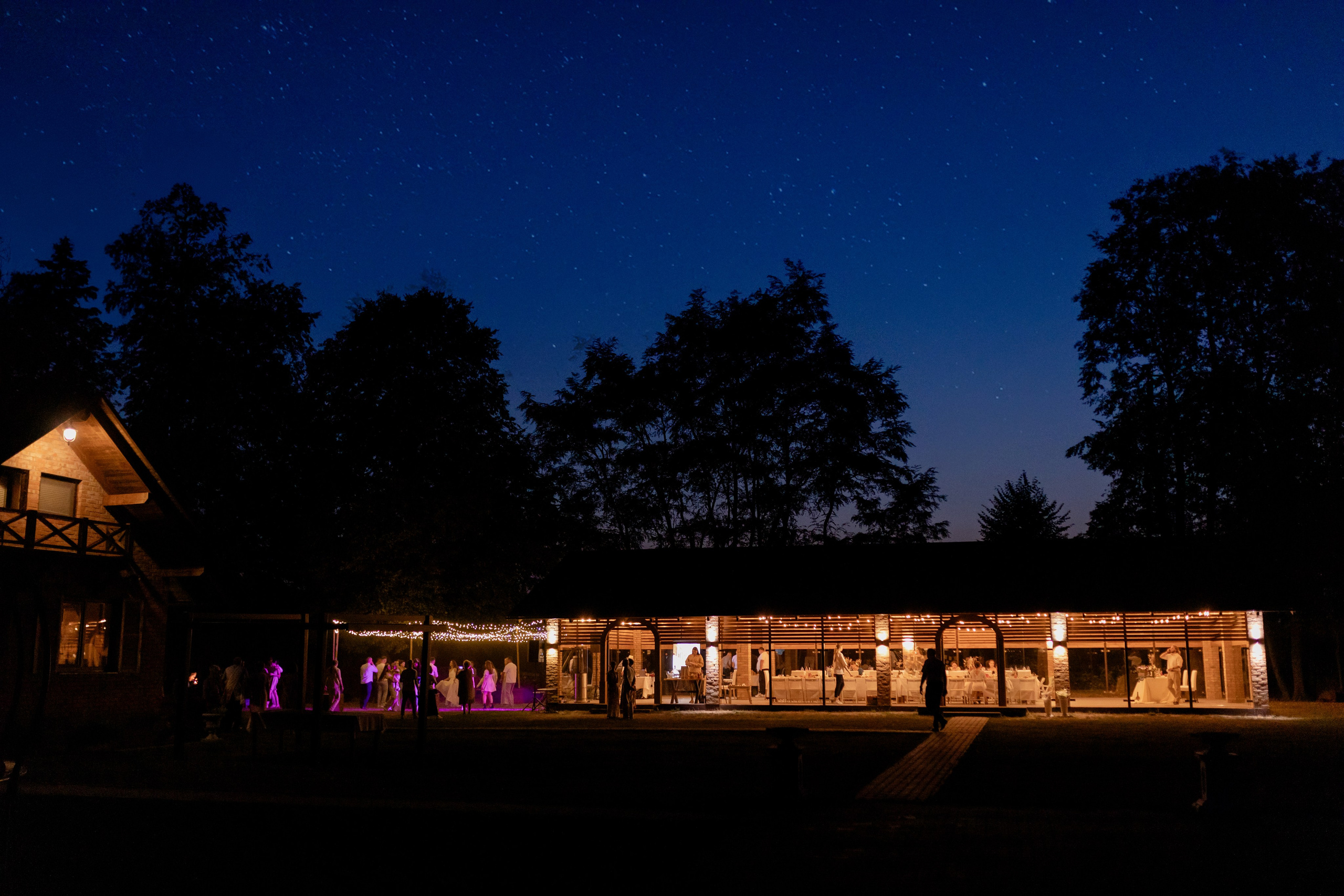 Виноградники. Dima Lemeshevsky