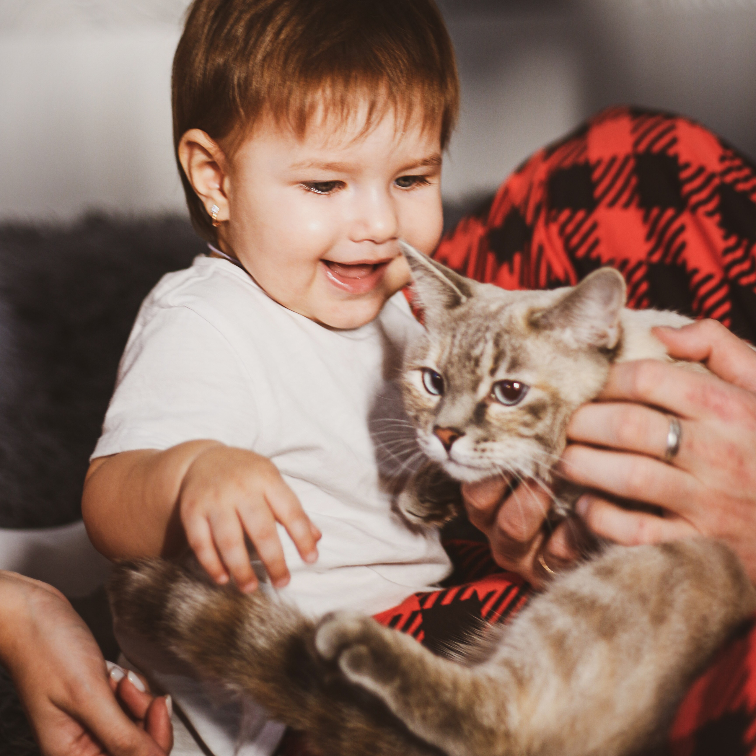 7я. Алиса Томшина — Фотограф / Видеограф