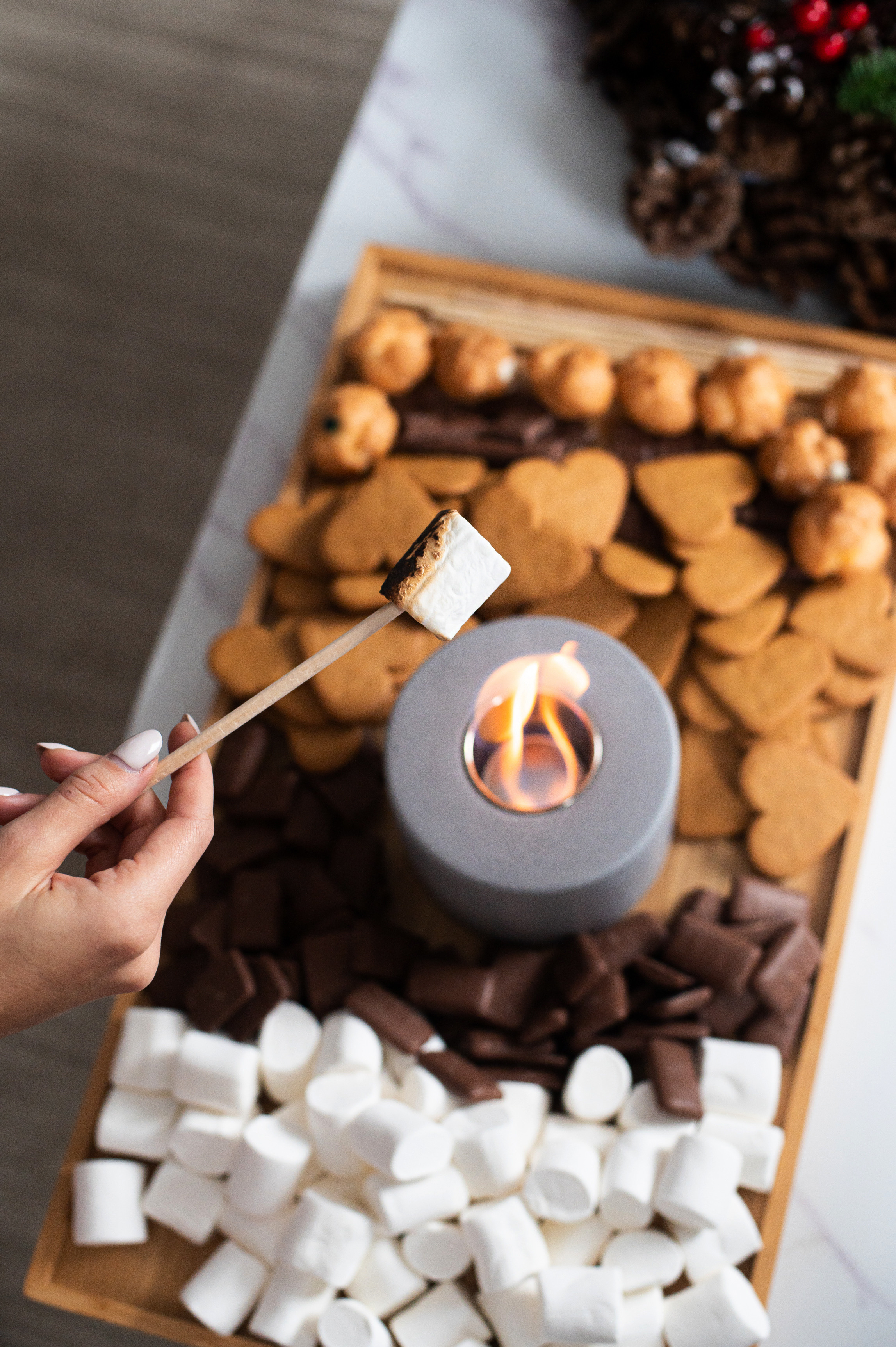 Bio fireplaces. Elizaveta Filchenko. Fashion-photographer and director