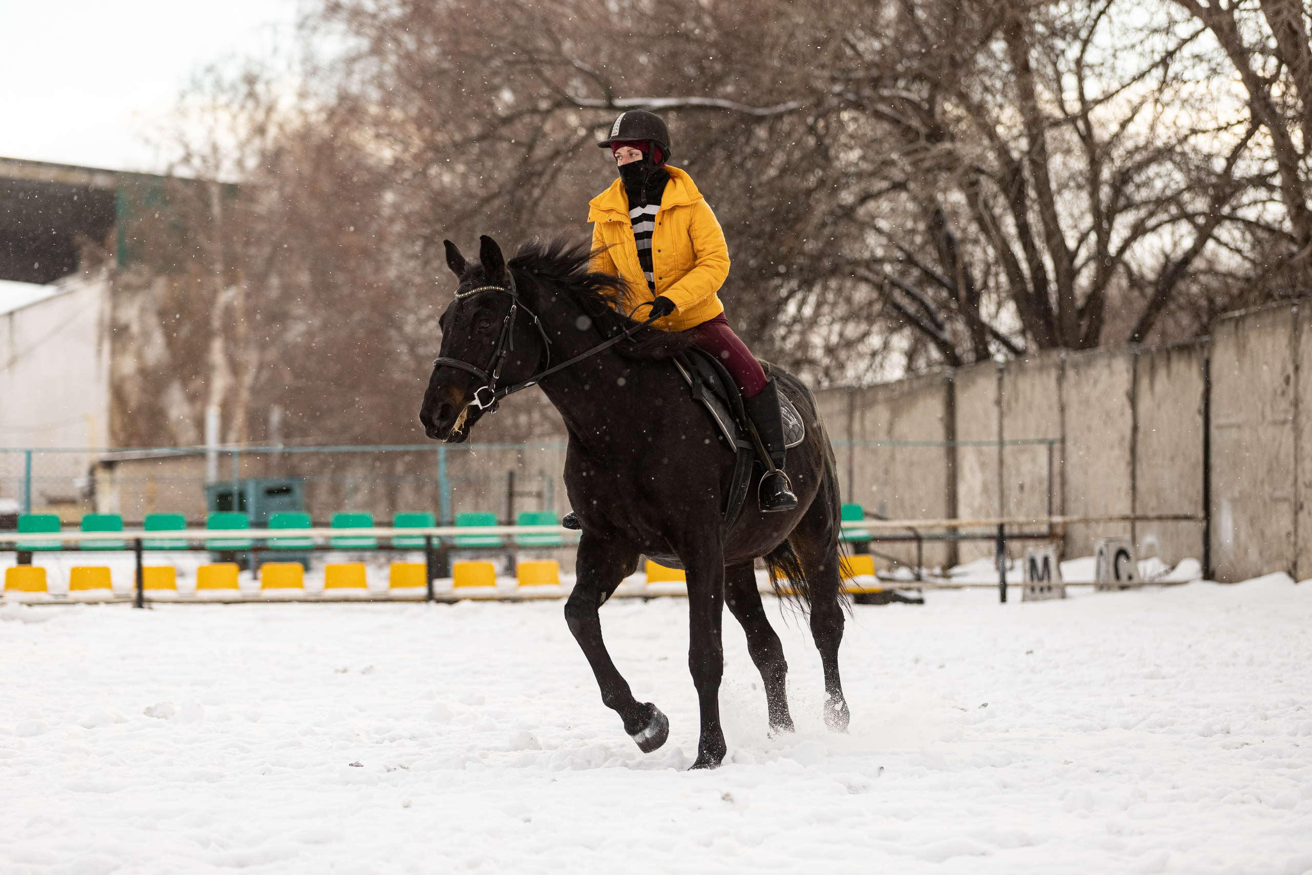 Для конников. Главная
