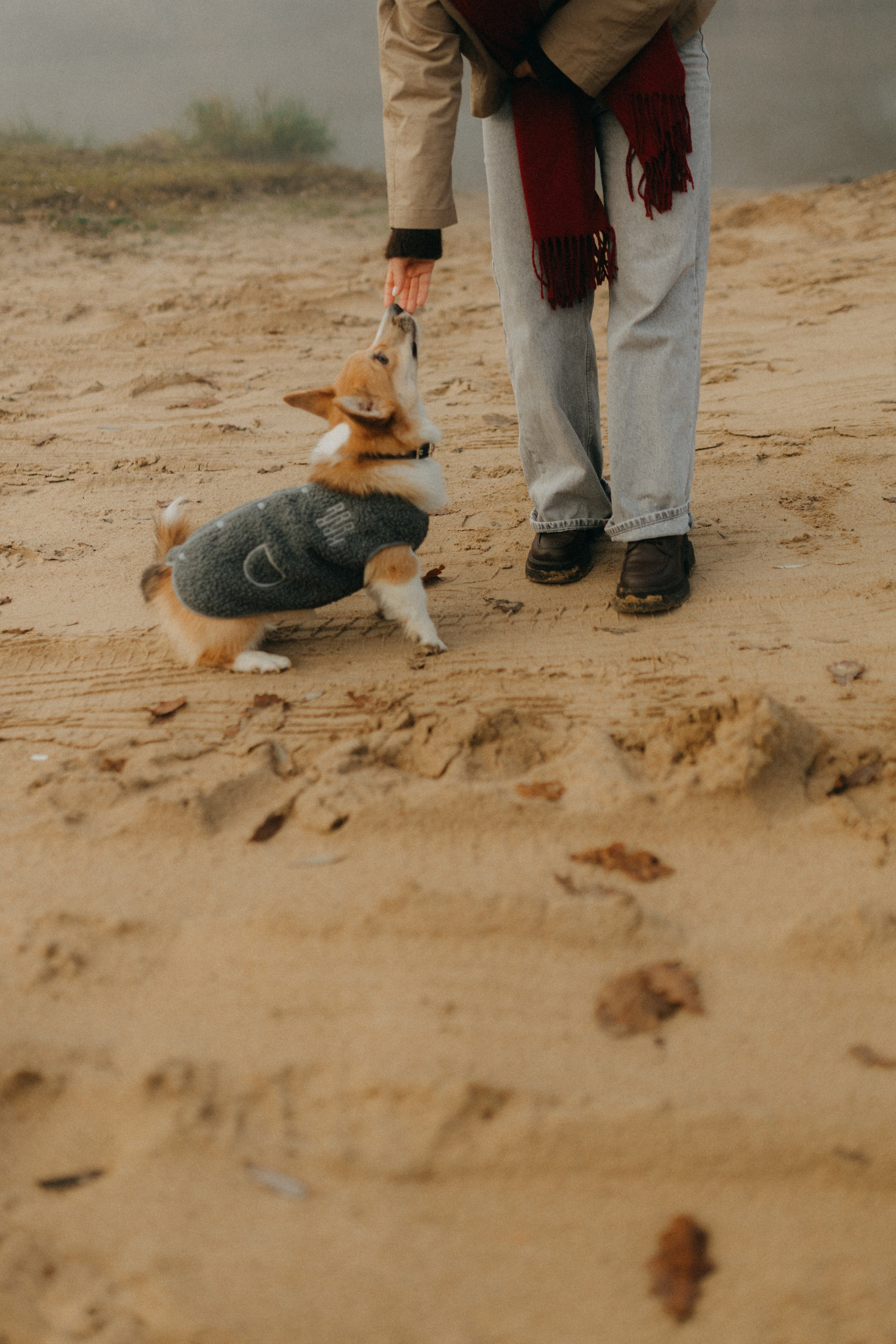 Алина. Фотограф НОГИНСК, Москва, Анастасия Белая