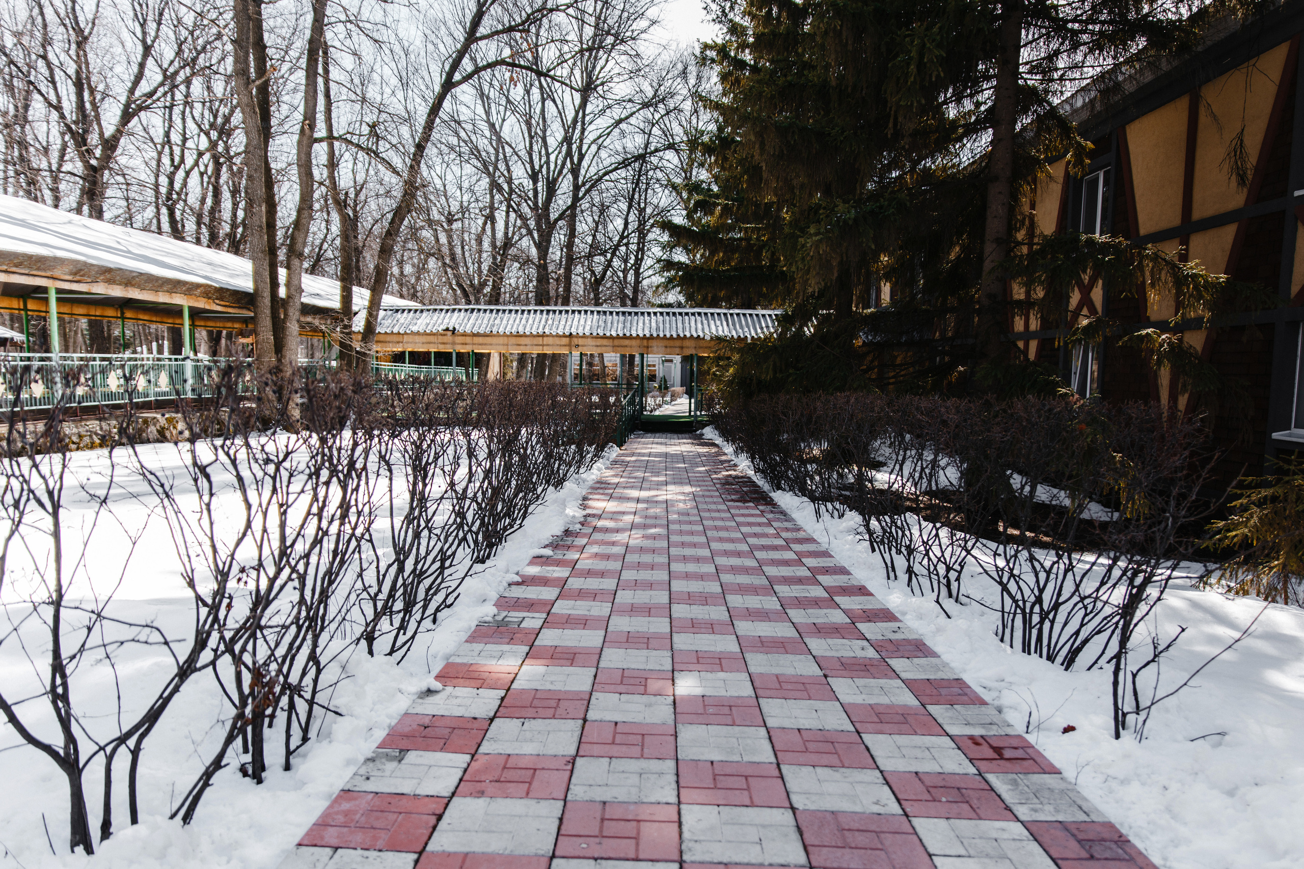 Пенсионат Самара. Фотограф Санкт-Петербург