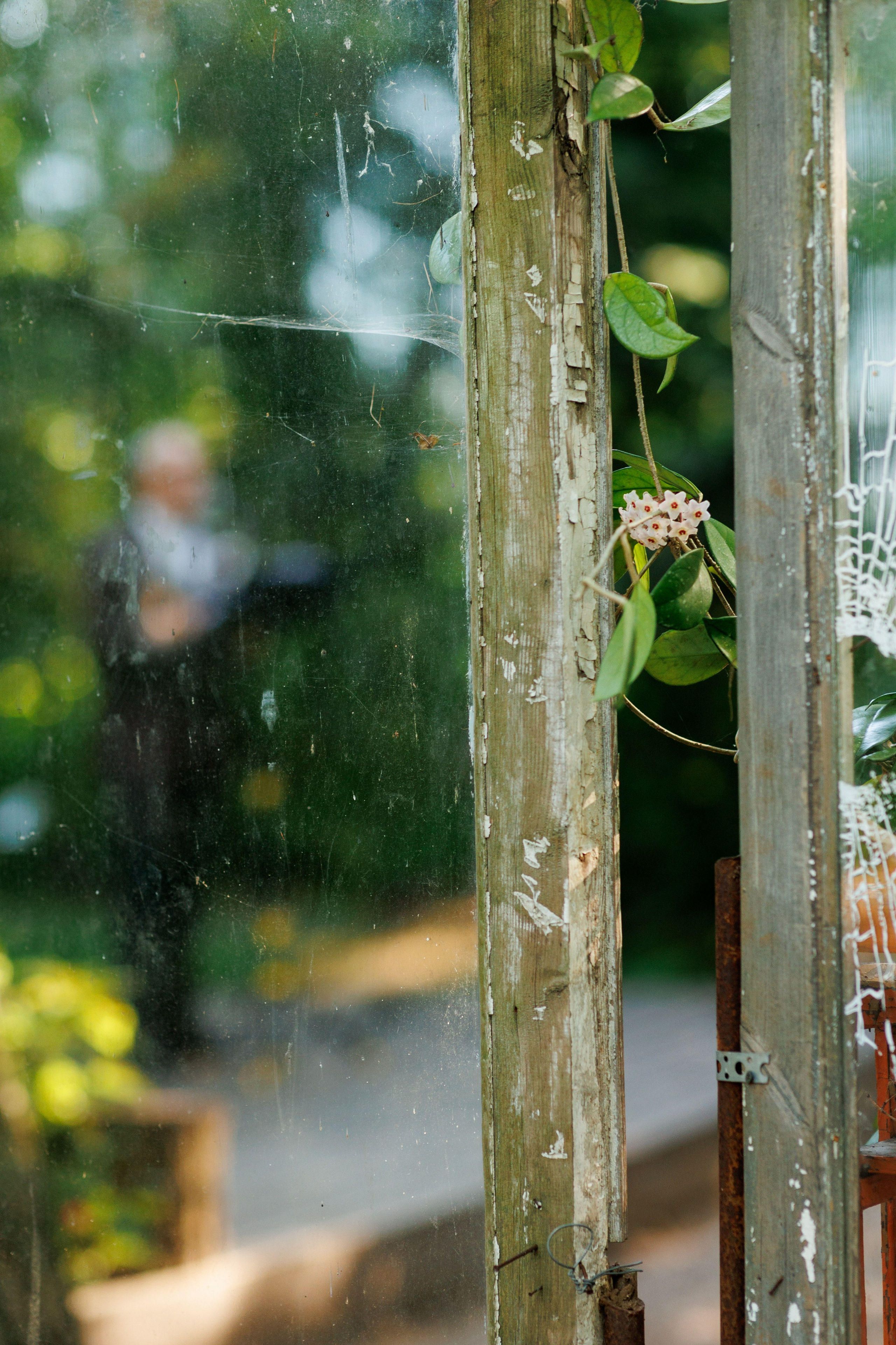 Спектакль в Ботаническом саду (студия «Знаки сезонников». Фотограф в Твери и Москве Юлия Бахтамова