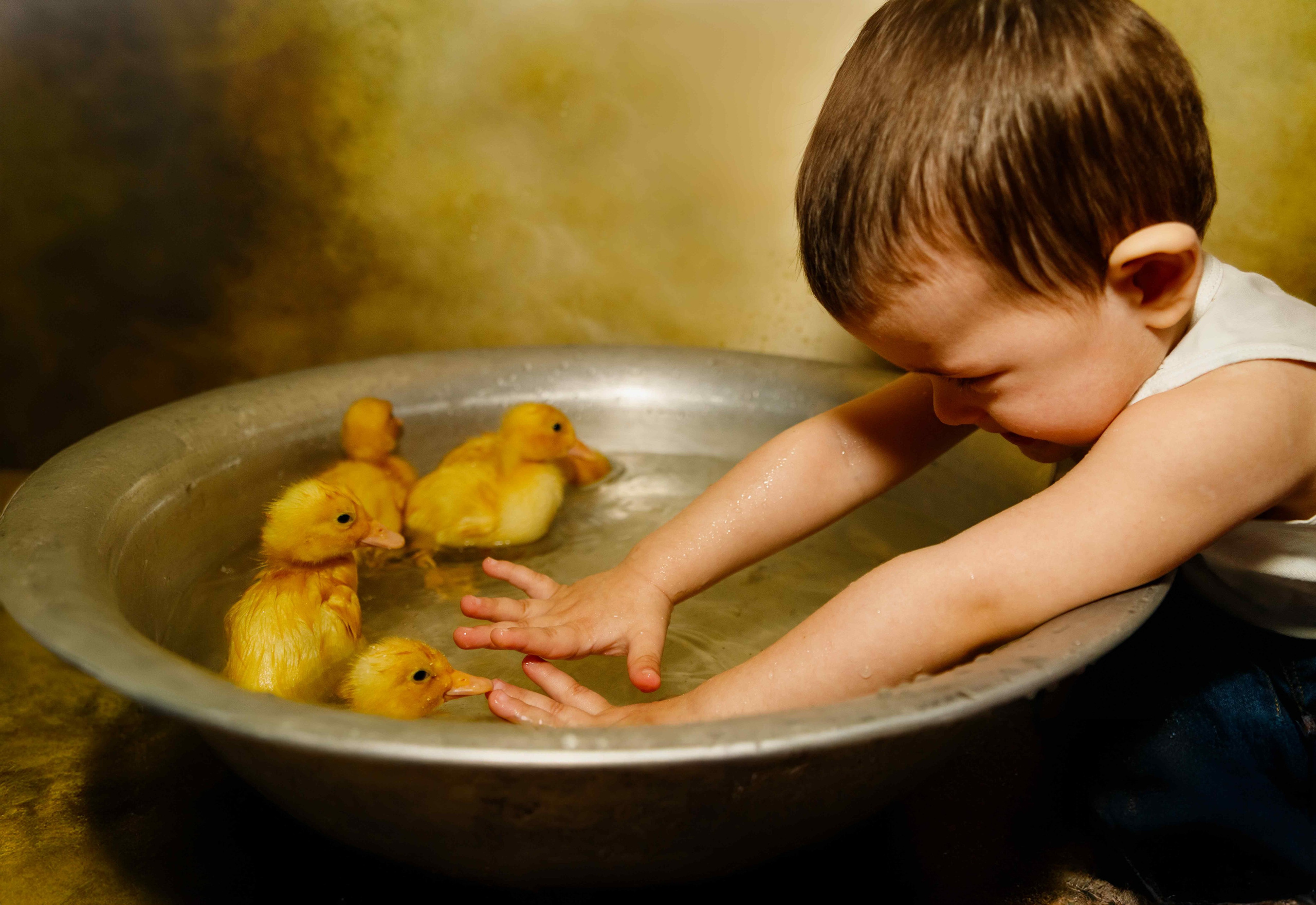 Детская фотосессия. Семейный, свадебный и детский фотограф в Новосибирске Ольга Хидченко