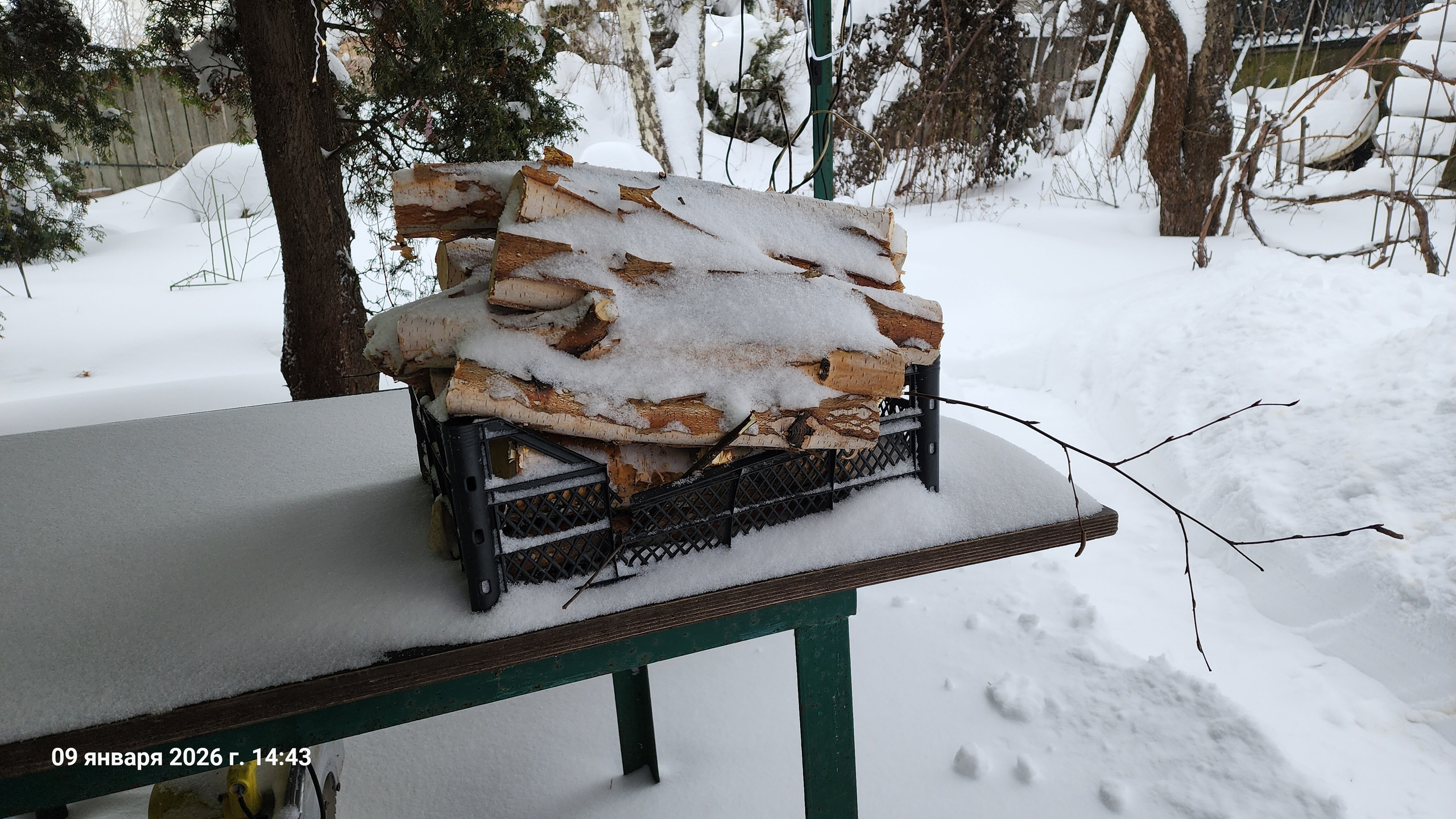 Рождество Христово 2026. Собор Отрасли