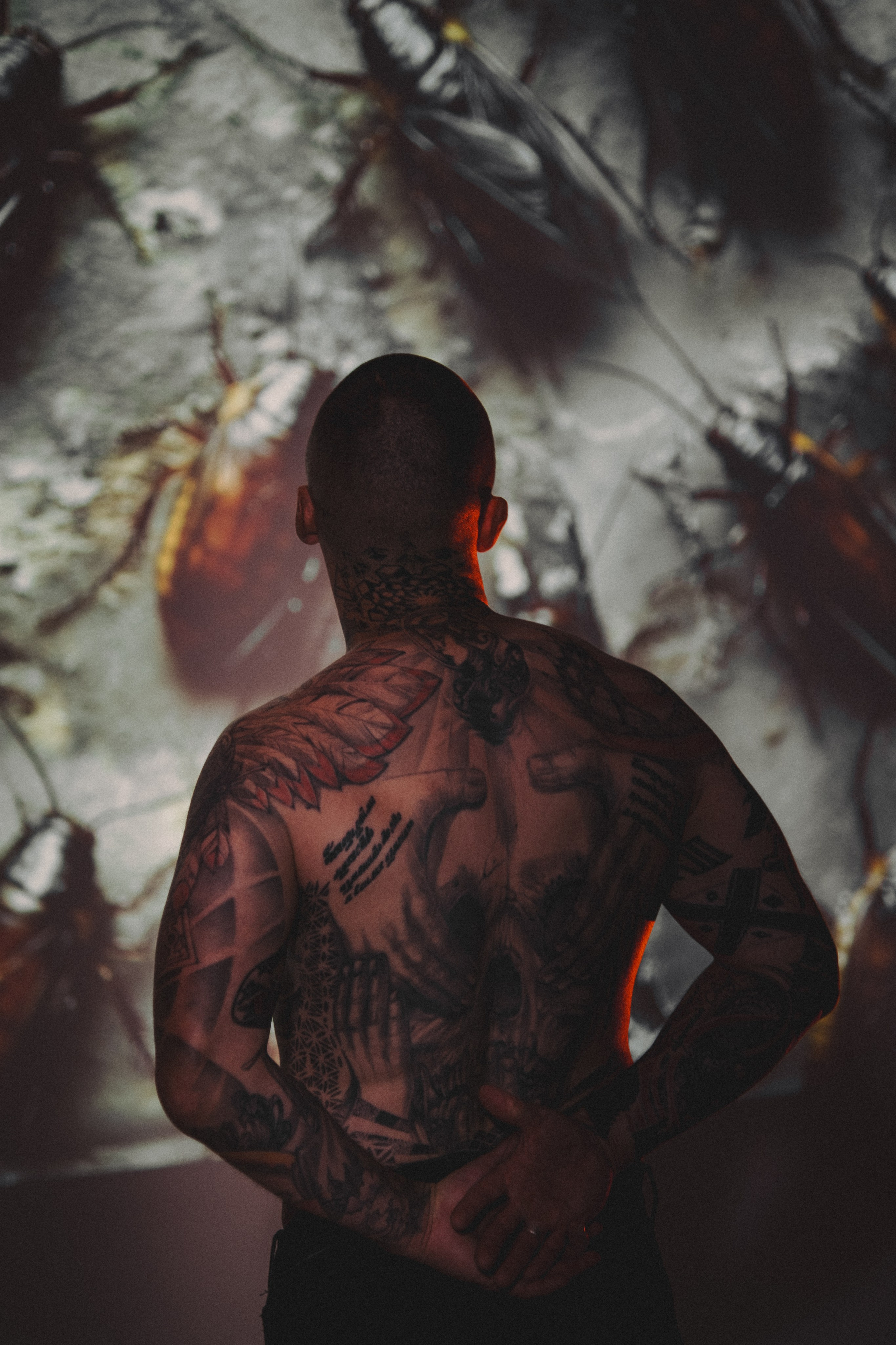 Silver Studio. Фотограф в Санкт-Петербурге Кристина Брянская