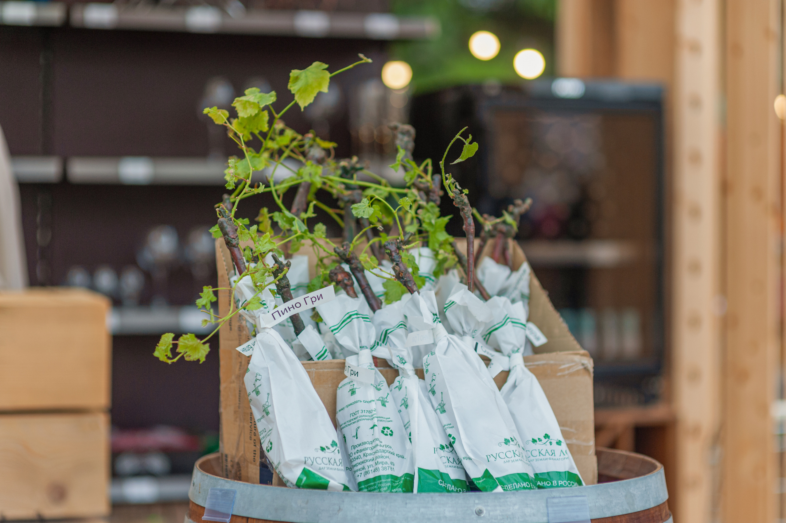 АМОРЕФЕСТ. Фестиваль вина. г. Анапа, Краснодарский край. Фотограф в Нижневартовске Анна Стрельцова