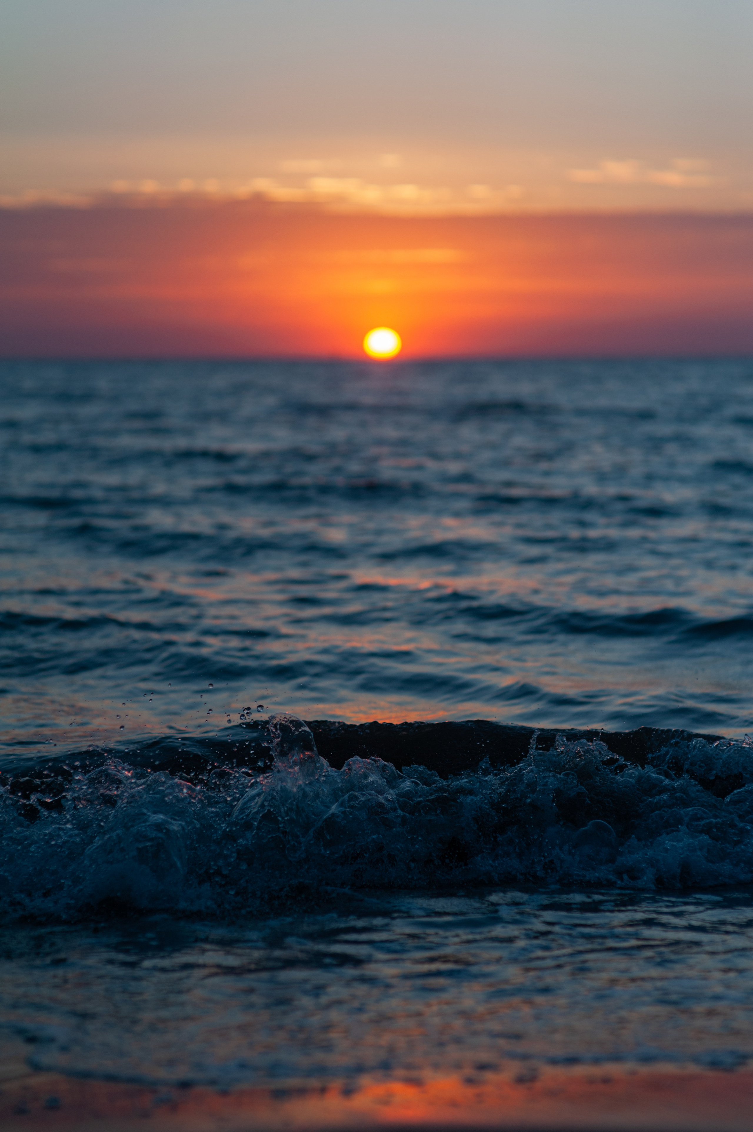 АМОРЕФЕСТ. Фестиваль вина. г. Анапа, Краснодарский край. Фотограф в Нижневартовске Анна Стрельцова