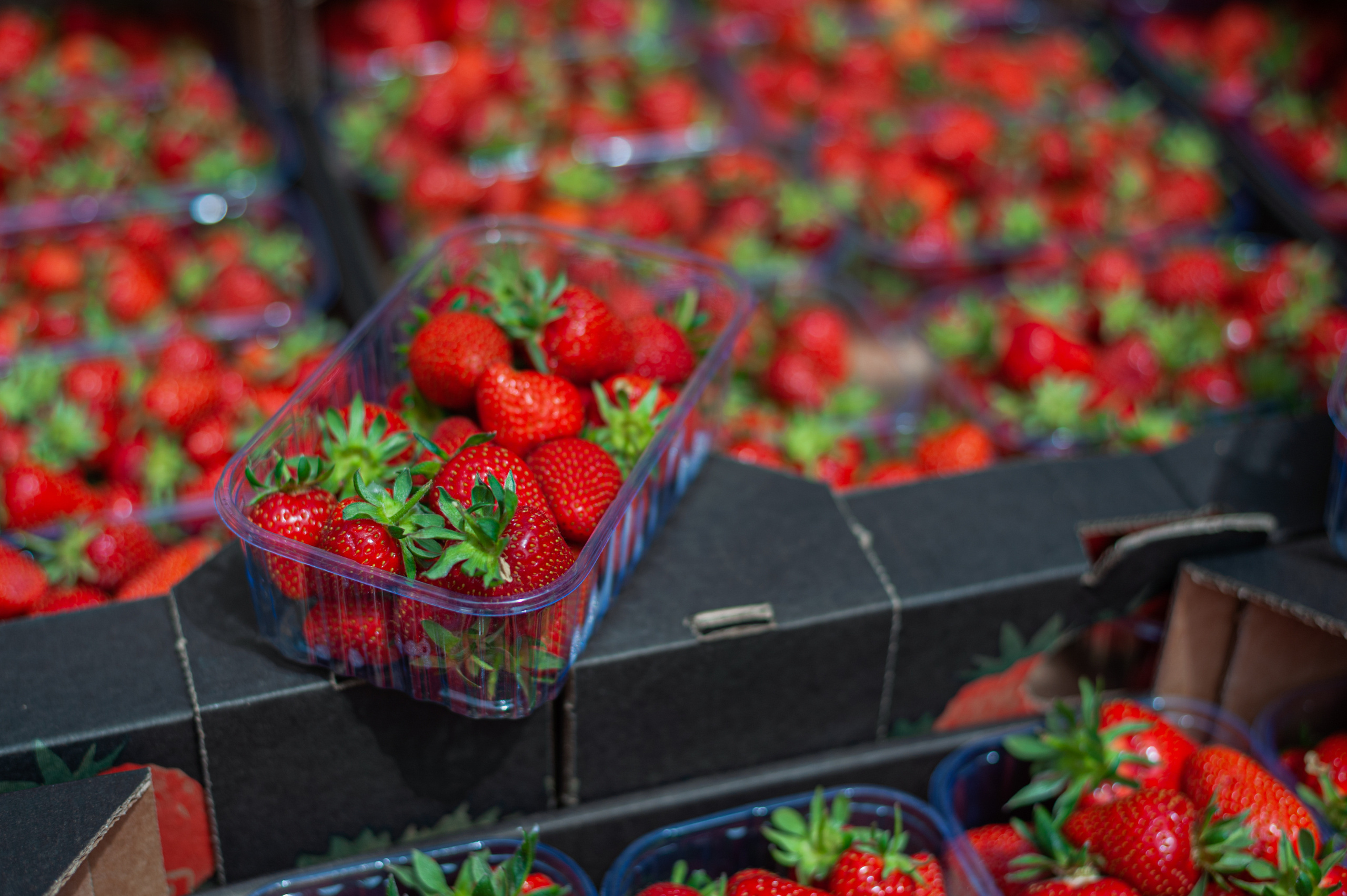 АМОРЕФЕСТ. Фестиваль вина. г. Анапа, Краснодарский край. Фотограф в Нижневартовске Анна Стрельцова