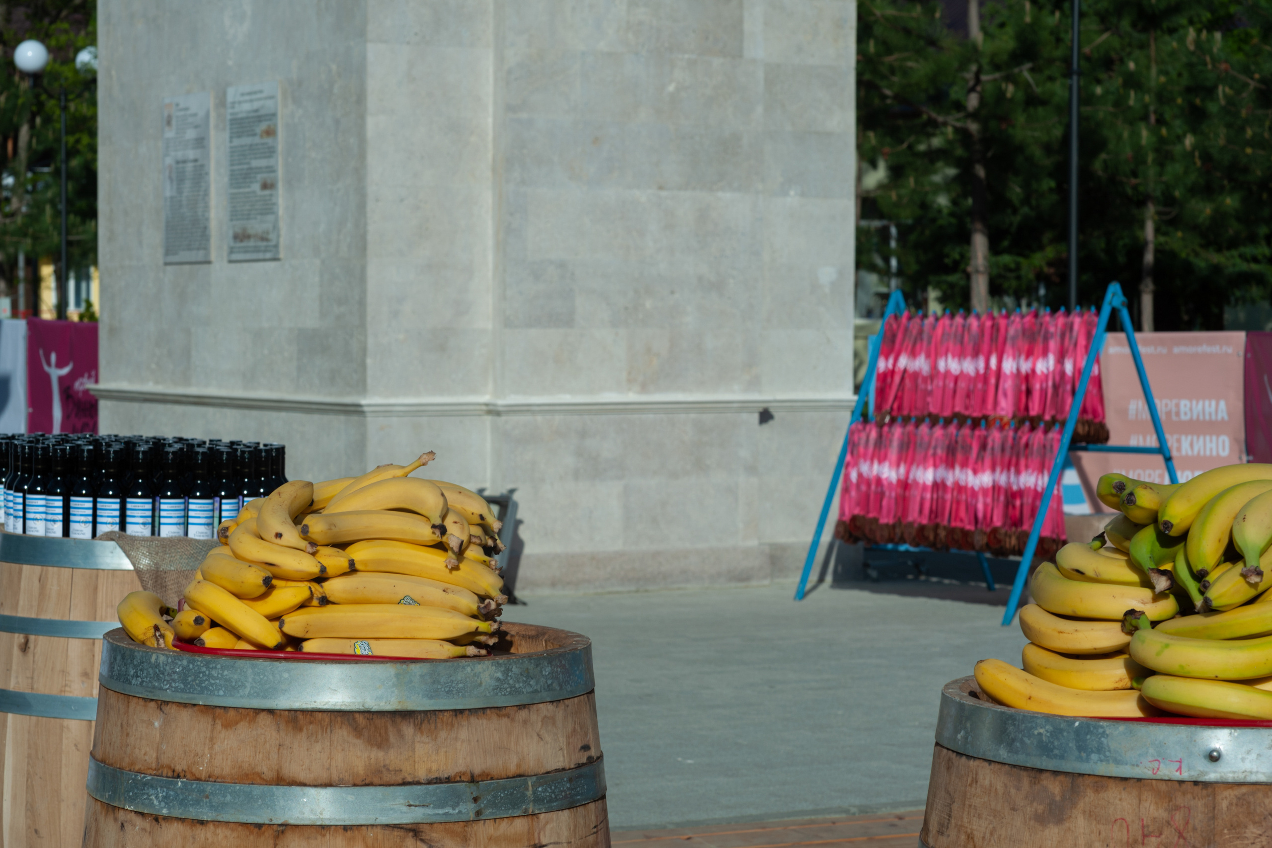 АМОРЕФЕСТ. Фестиваль вина. г. Анапа, Краснодарский край. Фотограф в Нижневартовске Анна Стрельцова