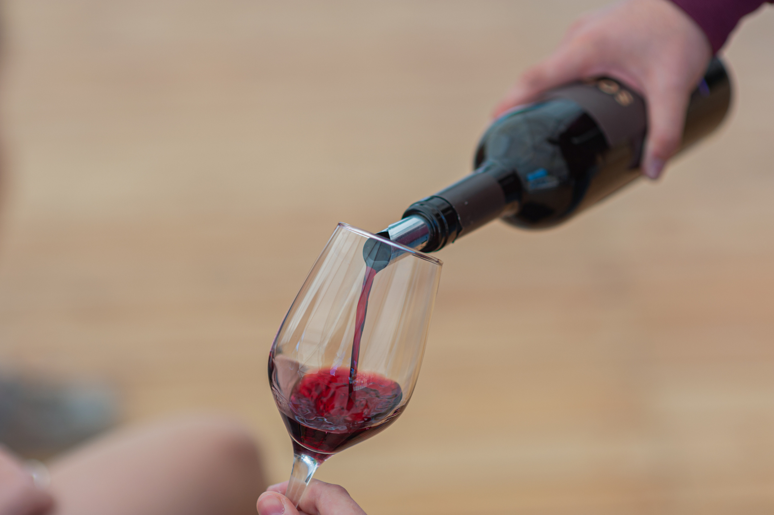 АМОРЕФЕСТ. Фестиваль вина. г. Анапа, Краснодарский край. Фотограф в Нижневартовске Анна Стрельцова