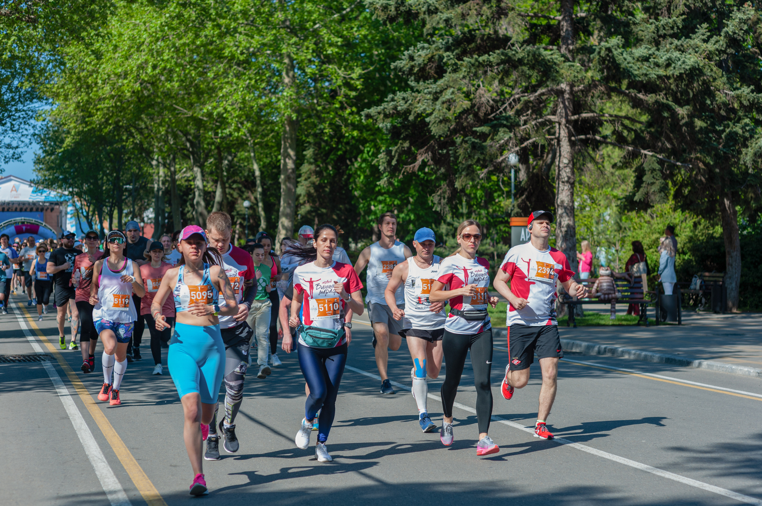 АМОРЕФЕСТ. Фестиваль вина. г. Анапа, Краснодарский край. Фотограф в Нижневартовске Анна Стрельцова