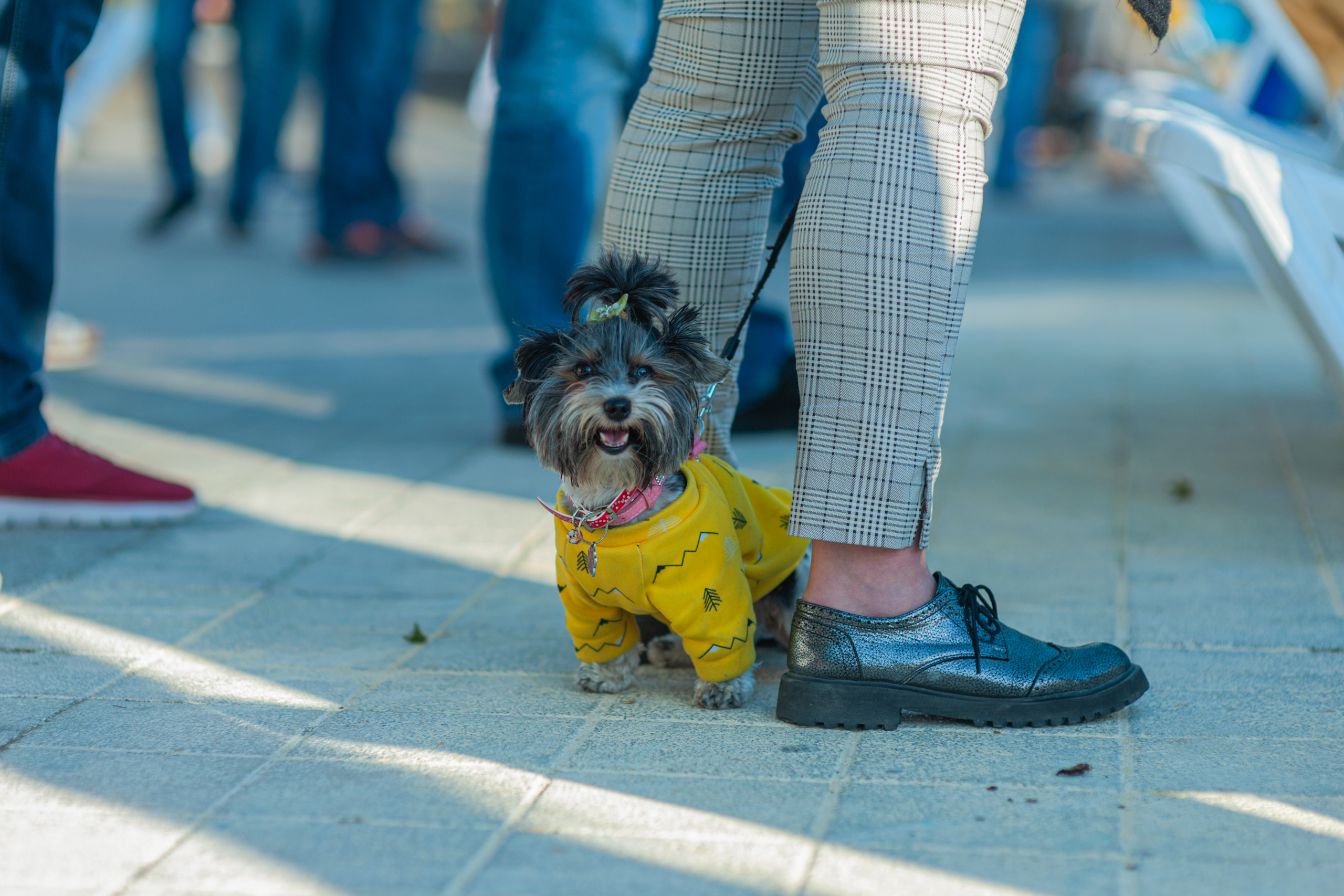 АМОРЕФЕСТ. Фестиваль вина. г. Анапа, Краснодарский край. Фотограф в Нижневартовске Анна Стрельцова