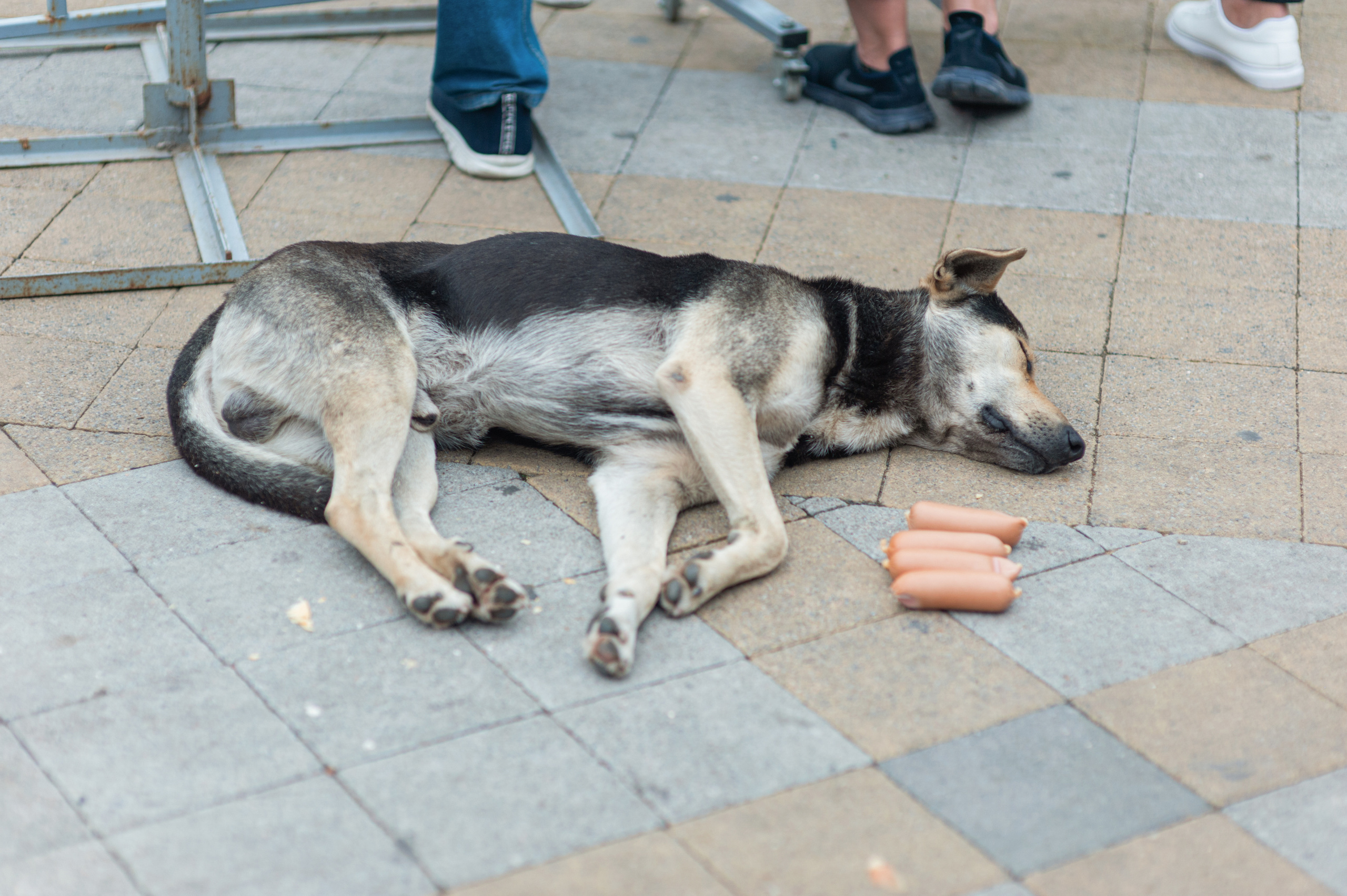 АМОРЕФЕСТ. Фестиваль вина. г. Анапа, Краснодарский край. Фотограф в Нижневартовске Анна Стрельцова