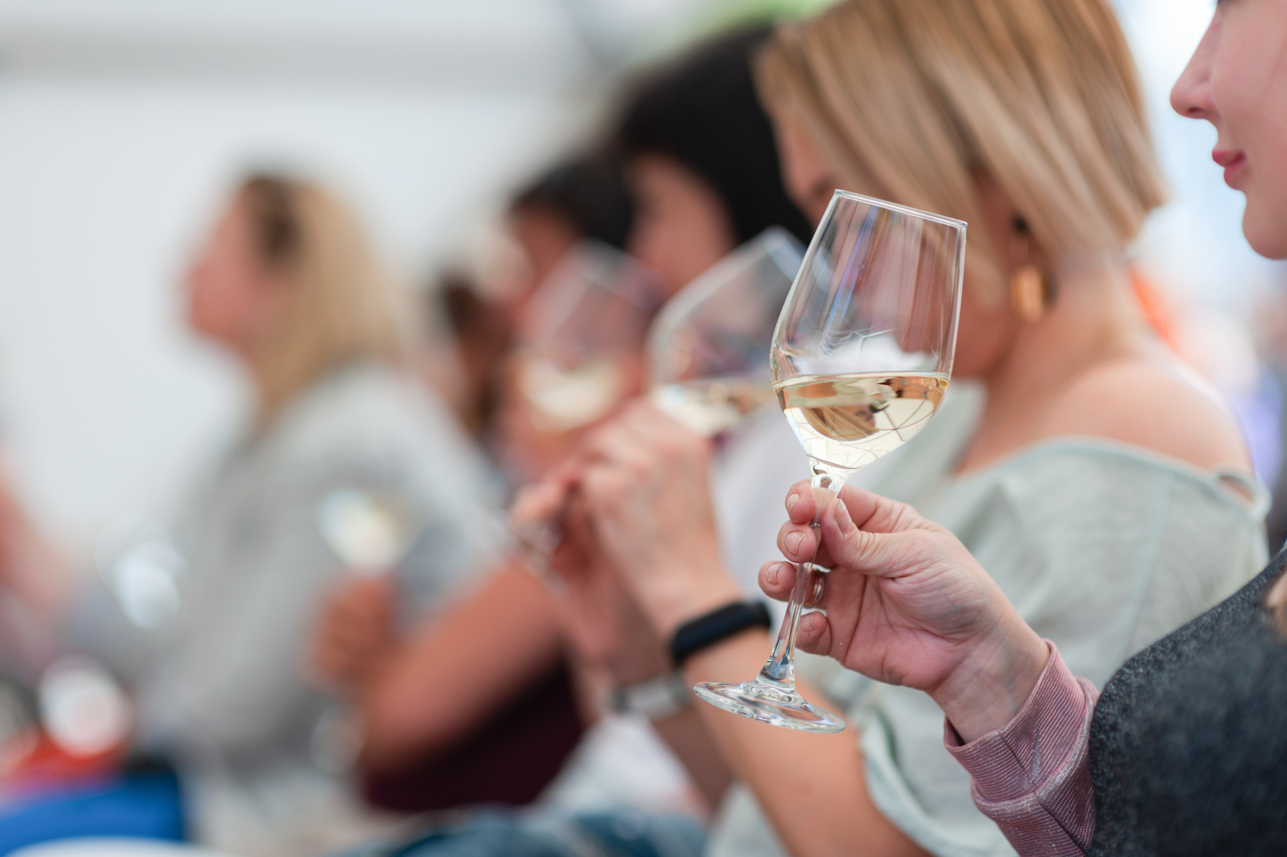 АМОРЕФЕСТ. Фестиваль вина. г. Анапа, Краснодарский край. Фотограф в Нижневартовске Анна Стрельцова