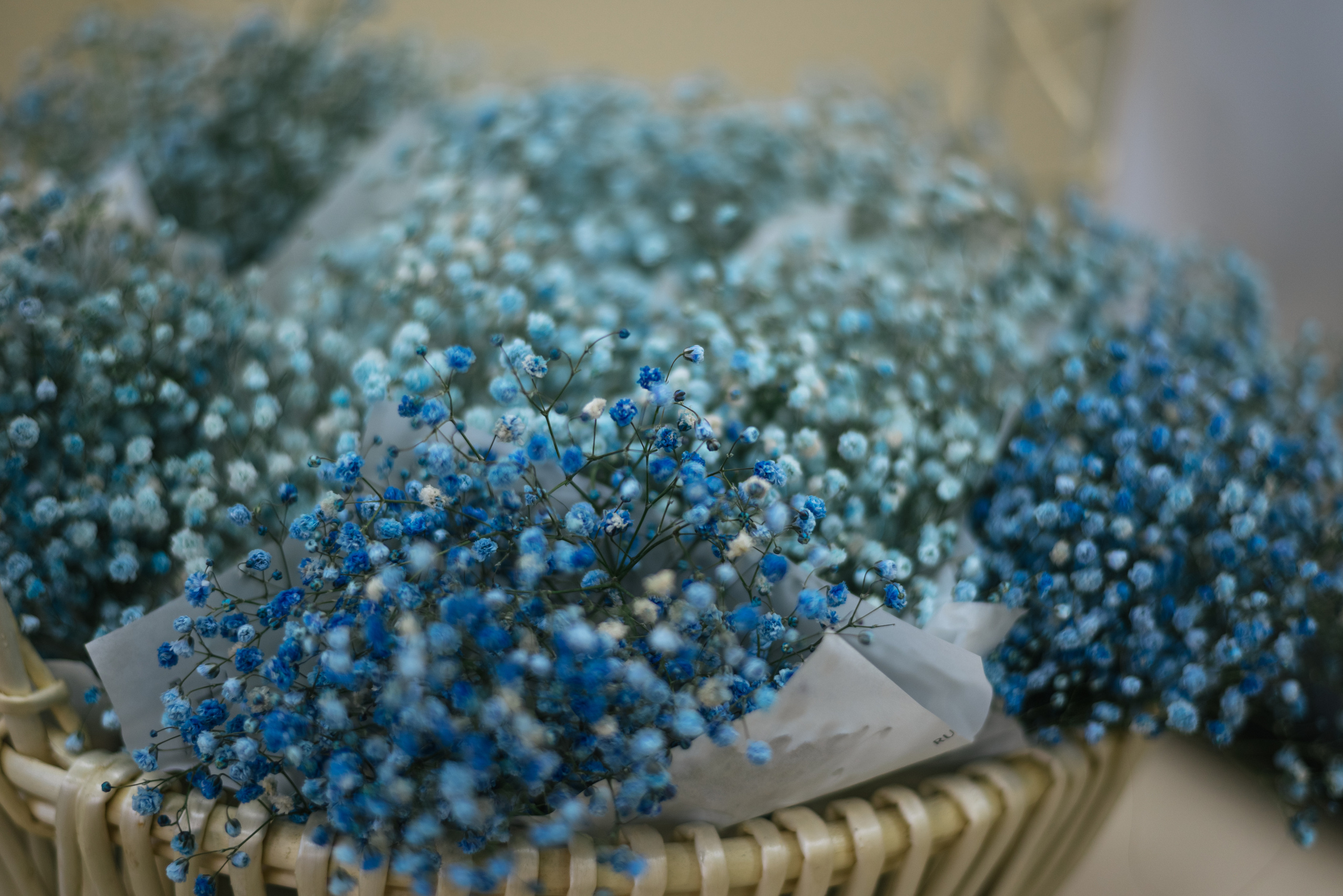 Открытие салона цветов и шаров RU FLOWERS. Фотограф Нижневартовск. Фотограф в Нижневартовске Анна Стрельцова