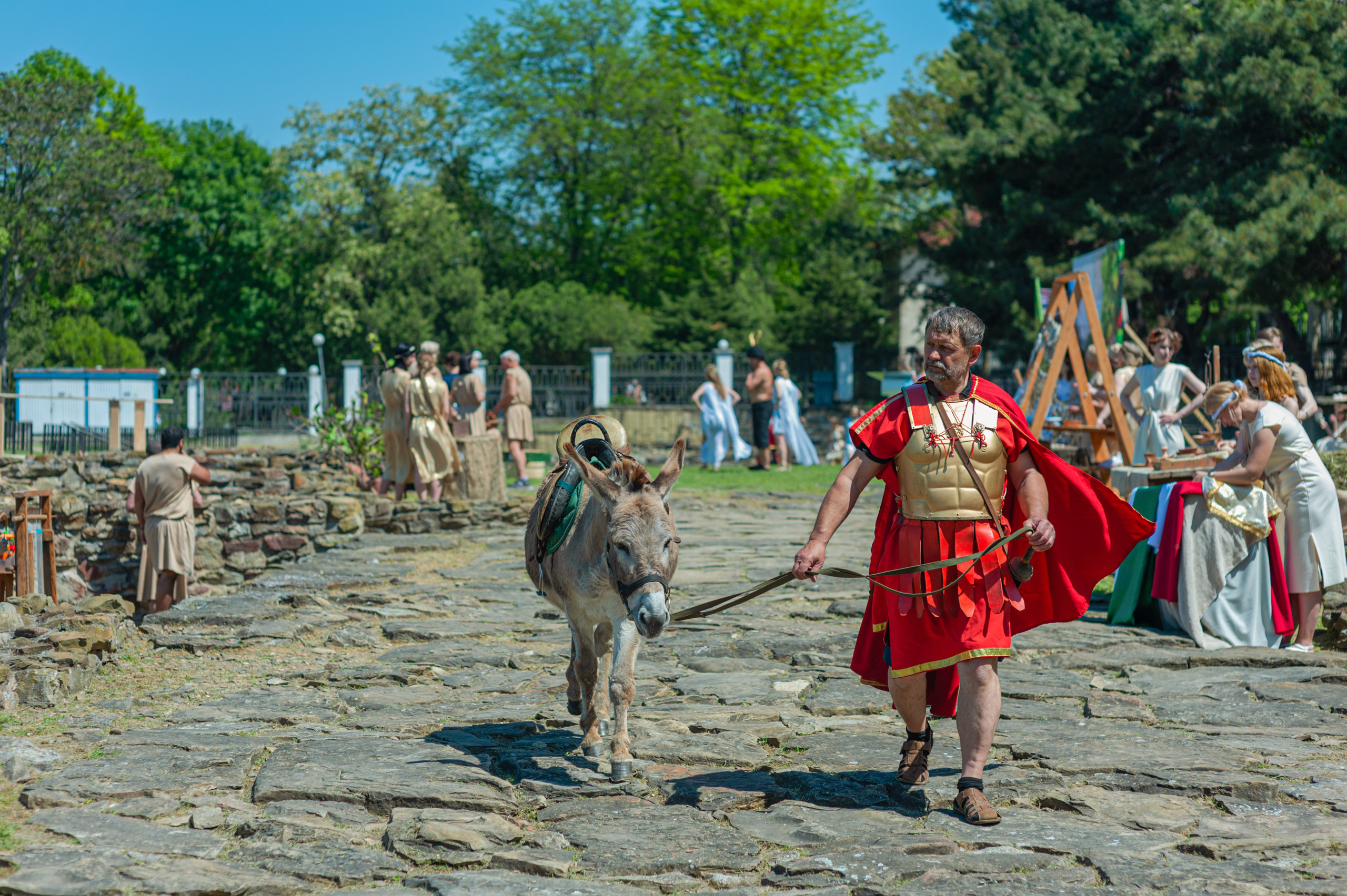 АМОРЕФЕСТ. Фестиваль вина. г. Анапа, Краснодарский край. Фотограф в Нижневартовске Анна Стрельцова
