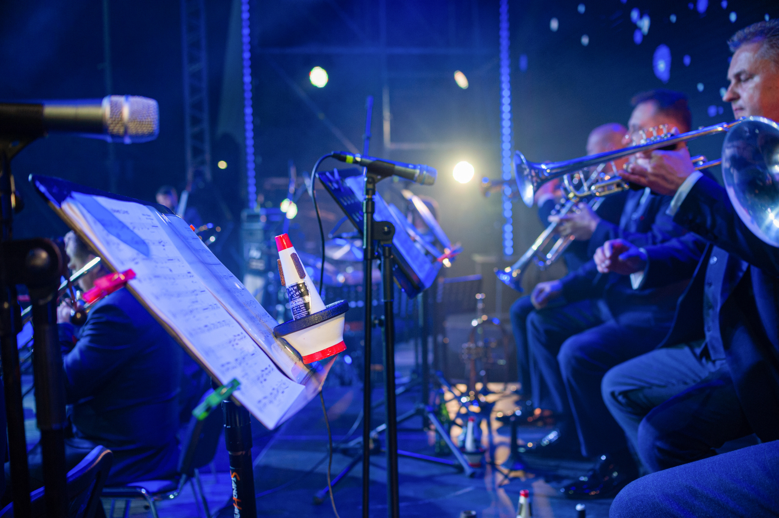 АМОРЕФЕСТ. Фестиваль вина. г. Анапа, Краснодарский край. Фотограф в Нижневартовске Анна Стрельцова