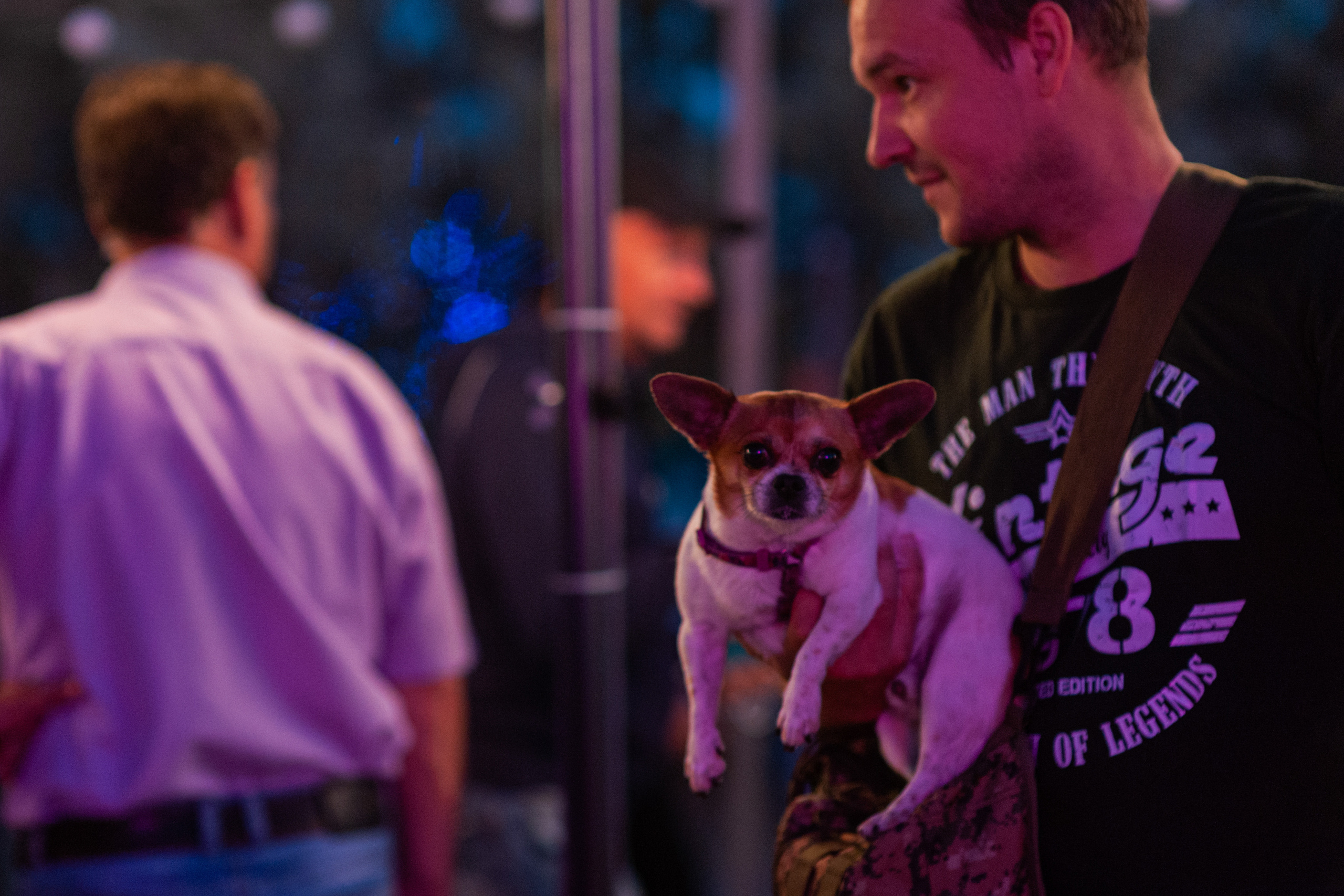 АМОРЕФЕСТ. Фестиваль вина. г. Анапа, Краснодарский край. Фотограф в Нижневартовске Анна Стрельцова