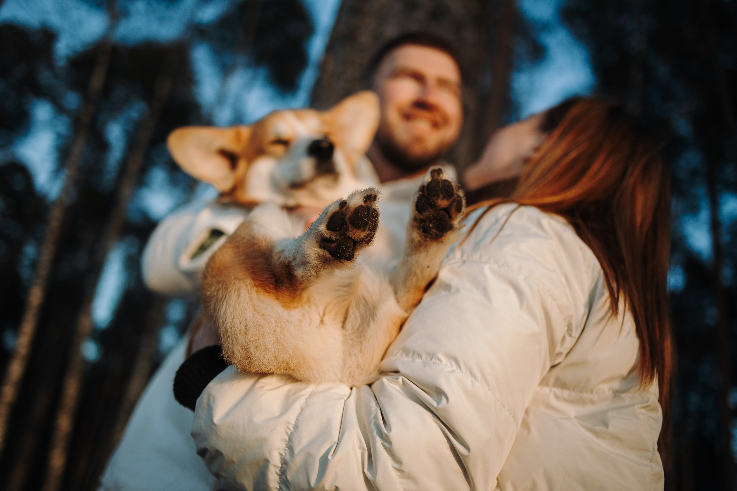 Найт и его семья. Фотограф — Анималист | Санкт-Петербург
