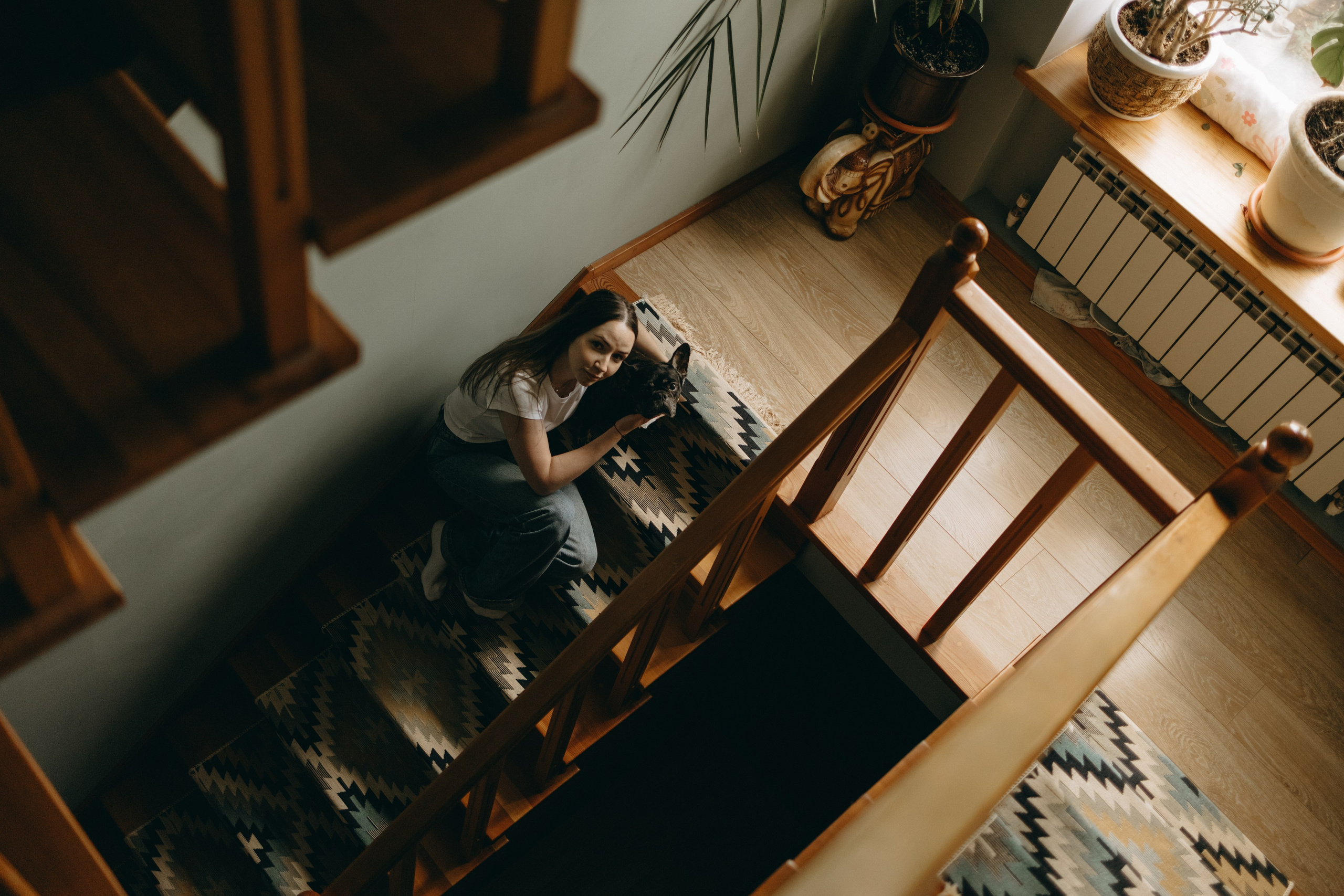 Софа и ее хвостики. Фотограф — Анималист | Санкт-Петербург