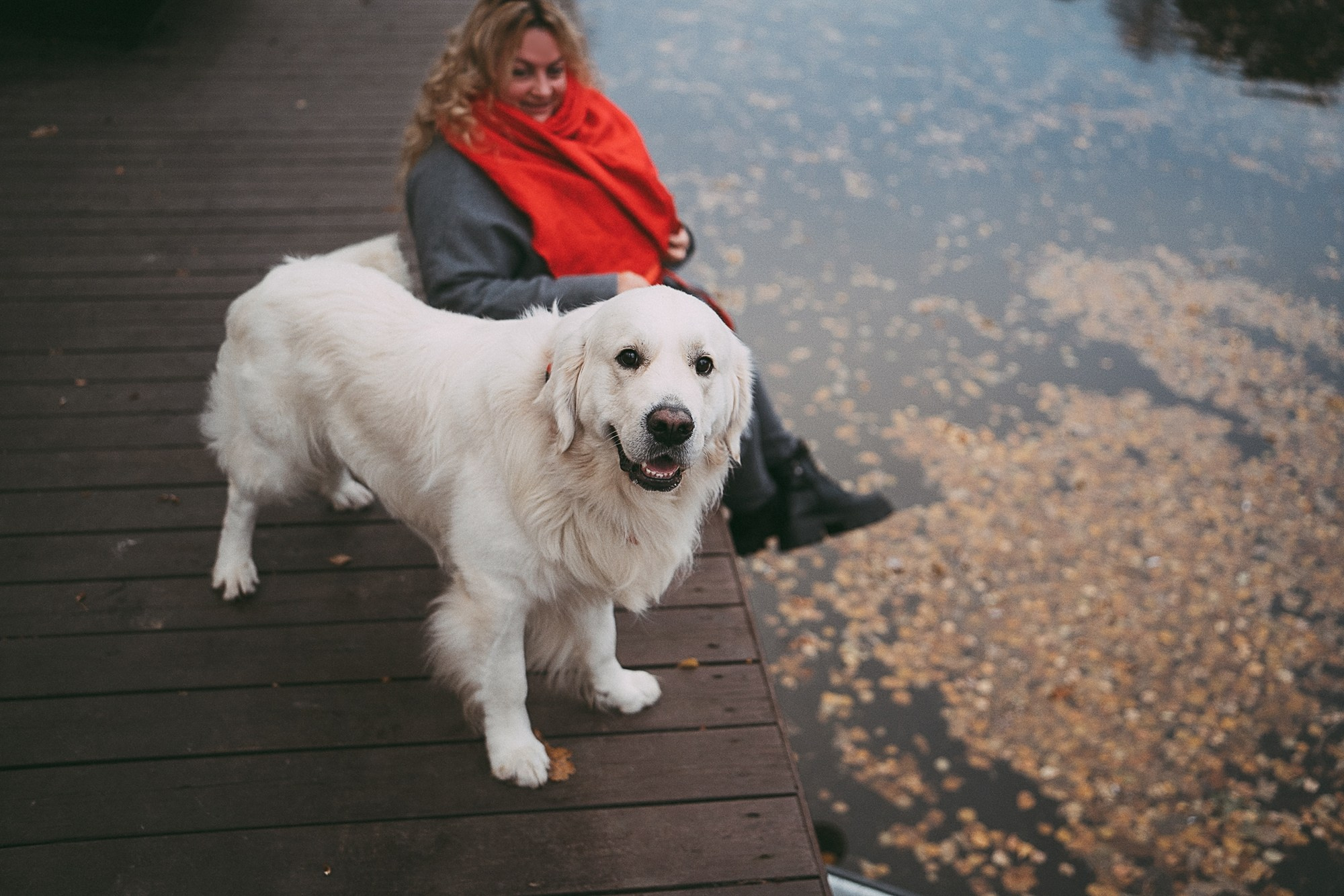 Лена и Мерлин. Фотограф анималист в Москве и Санкт-Петербурге Свиридова Анна