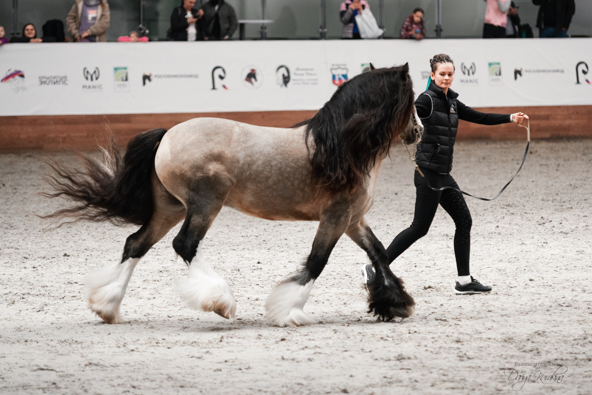 8-я международная выставка Конная Россия. Конный фотограф Куракина Дарья • Фотосессии с лошадьми