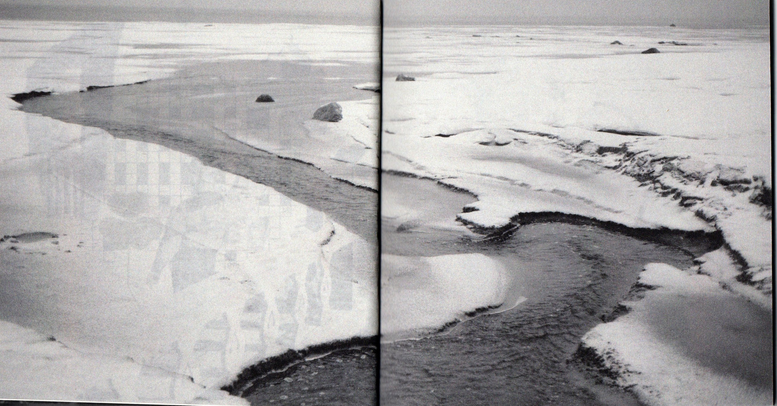 Деревья, которые дают сил. Фотограф Анна Кирнос