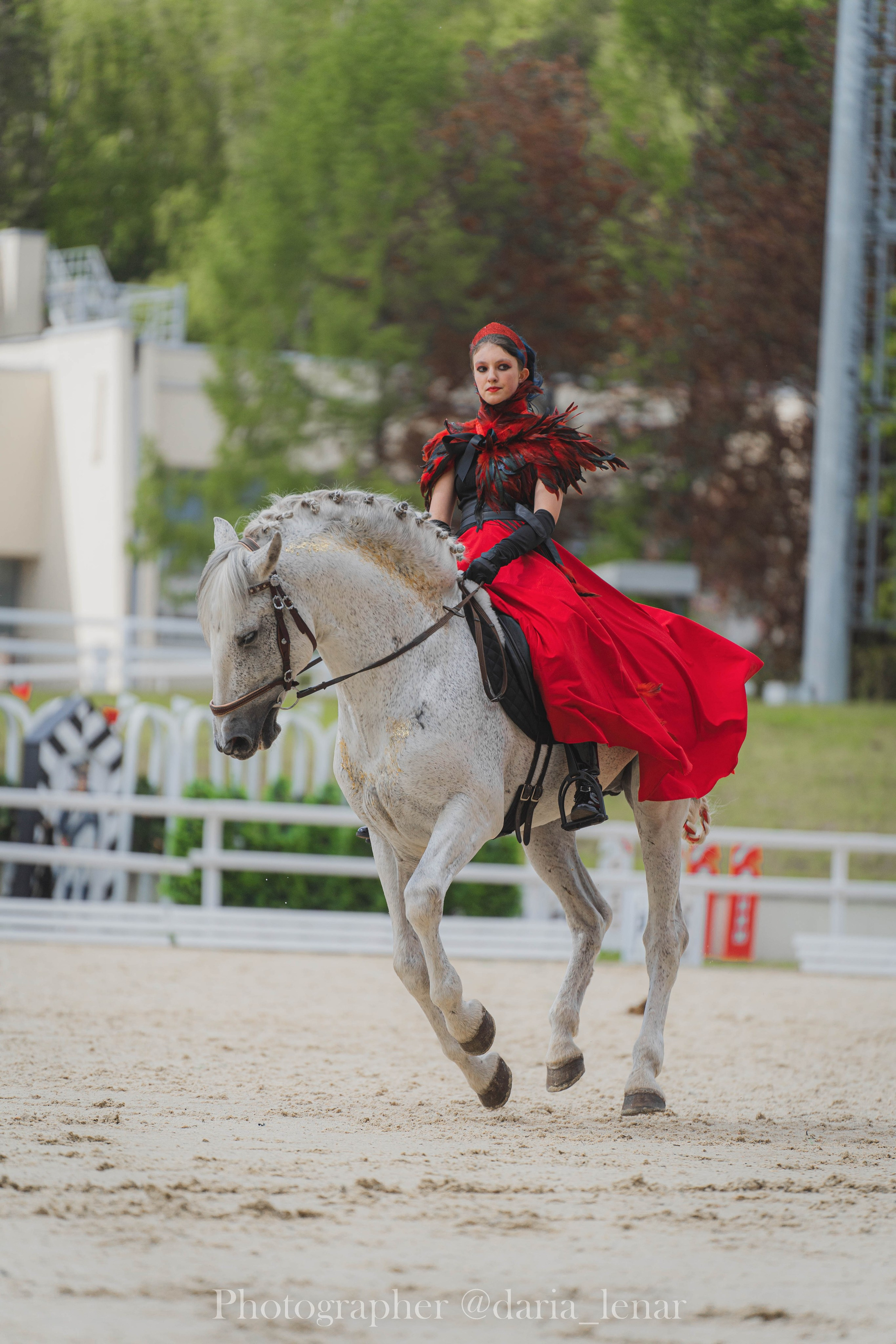 Андалузы MS. Фотограф в Москве Ленарская Дарья