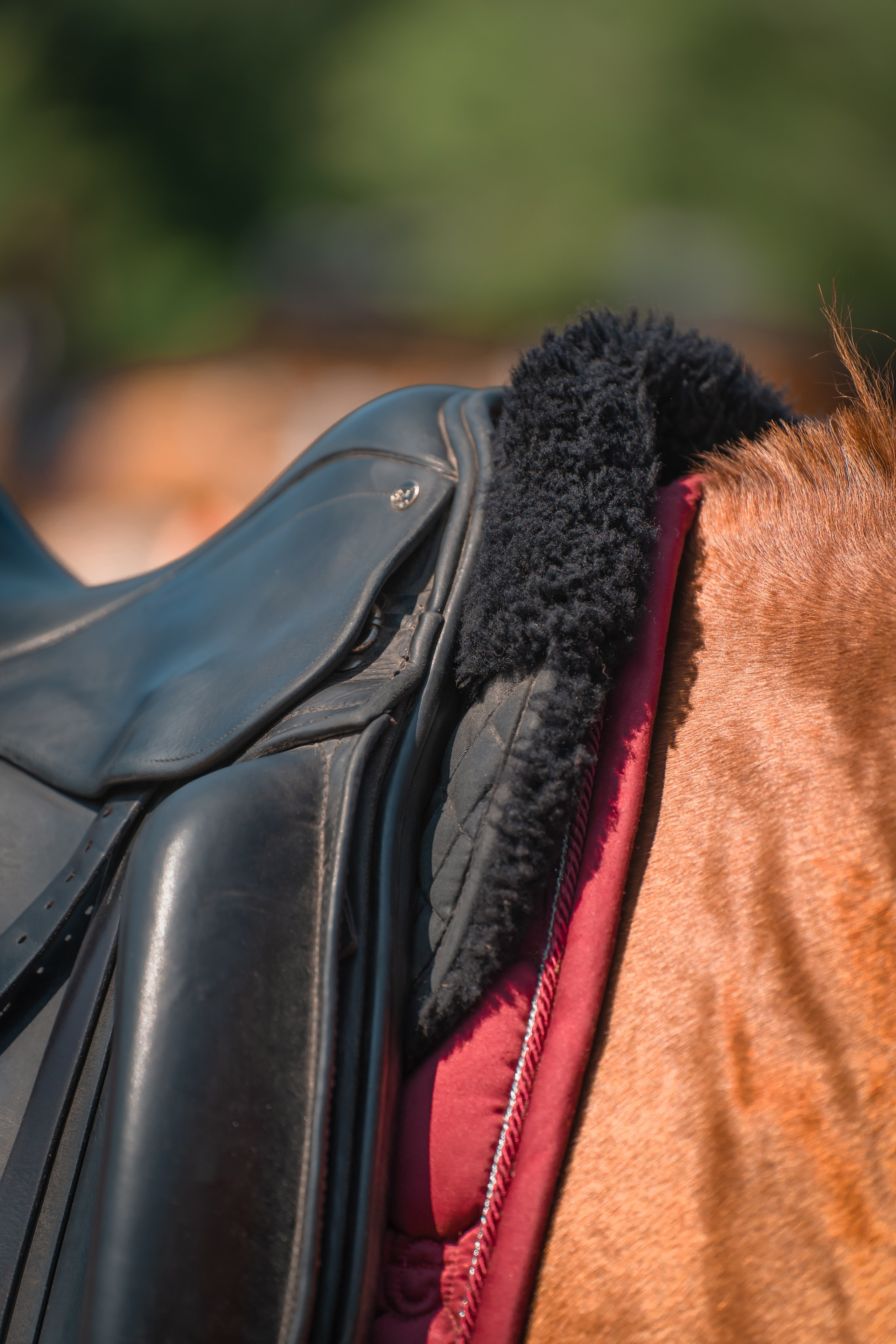Валерия и Ланселот. Тренировка по выездке. КСК «Урожай». Фотограф в Москве Ленарская Дарья