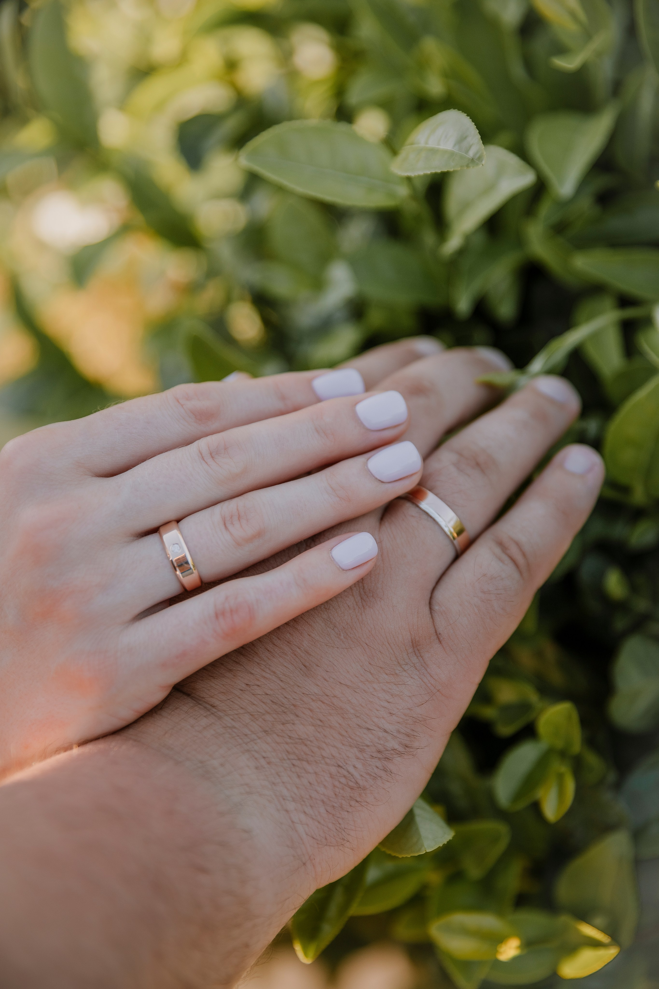 Плантации. Семейный фотограф Якимова Полина в Сочи