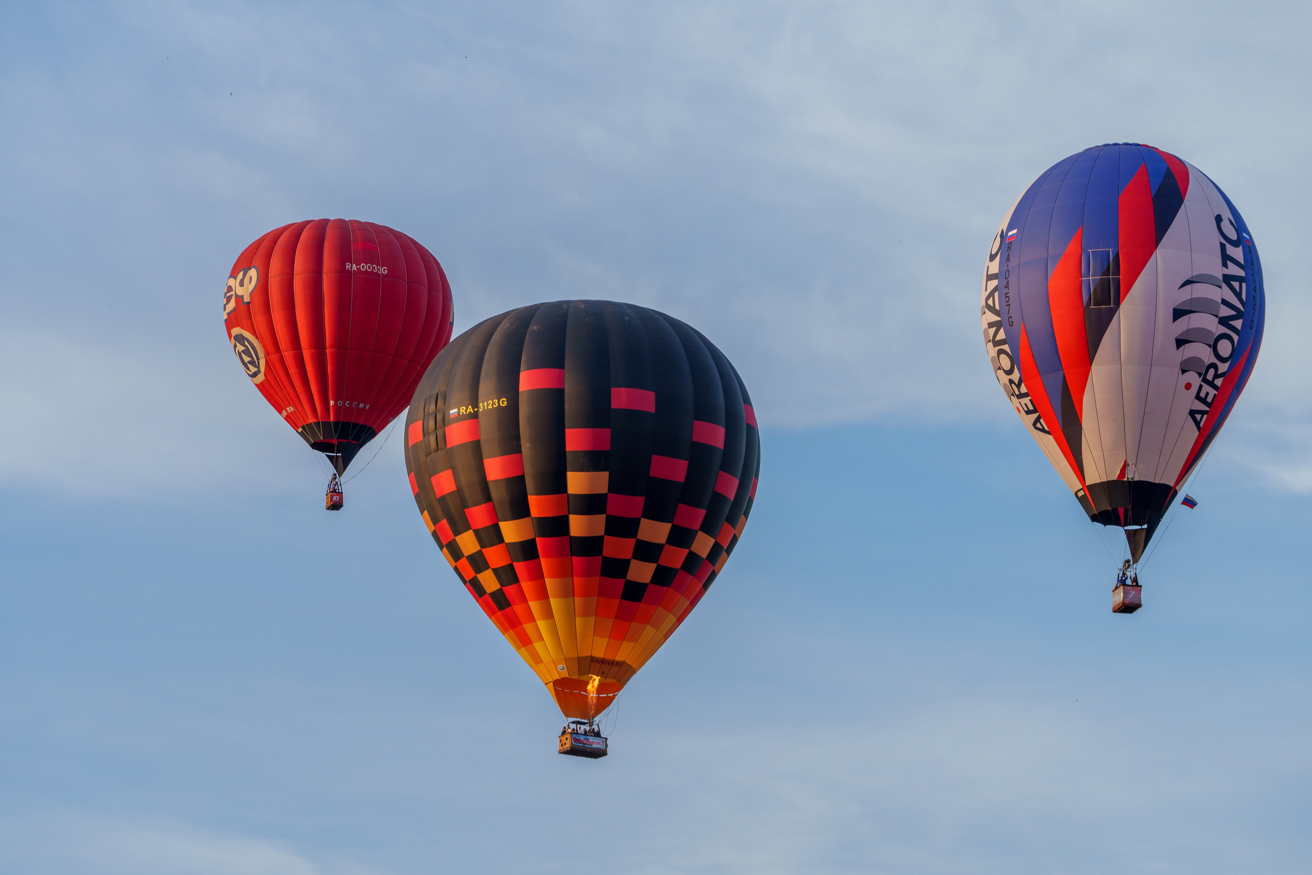 Фиеста Аэростатов. Sunnyman