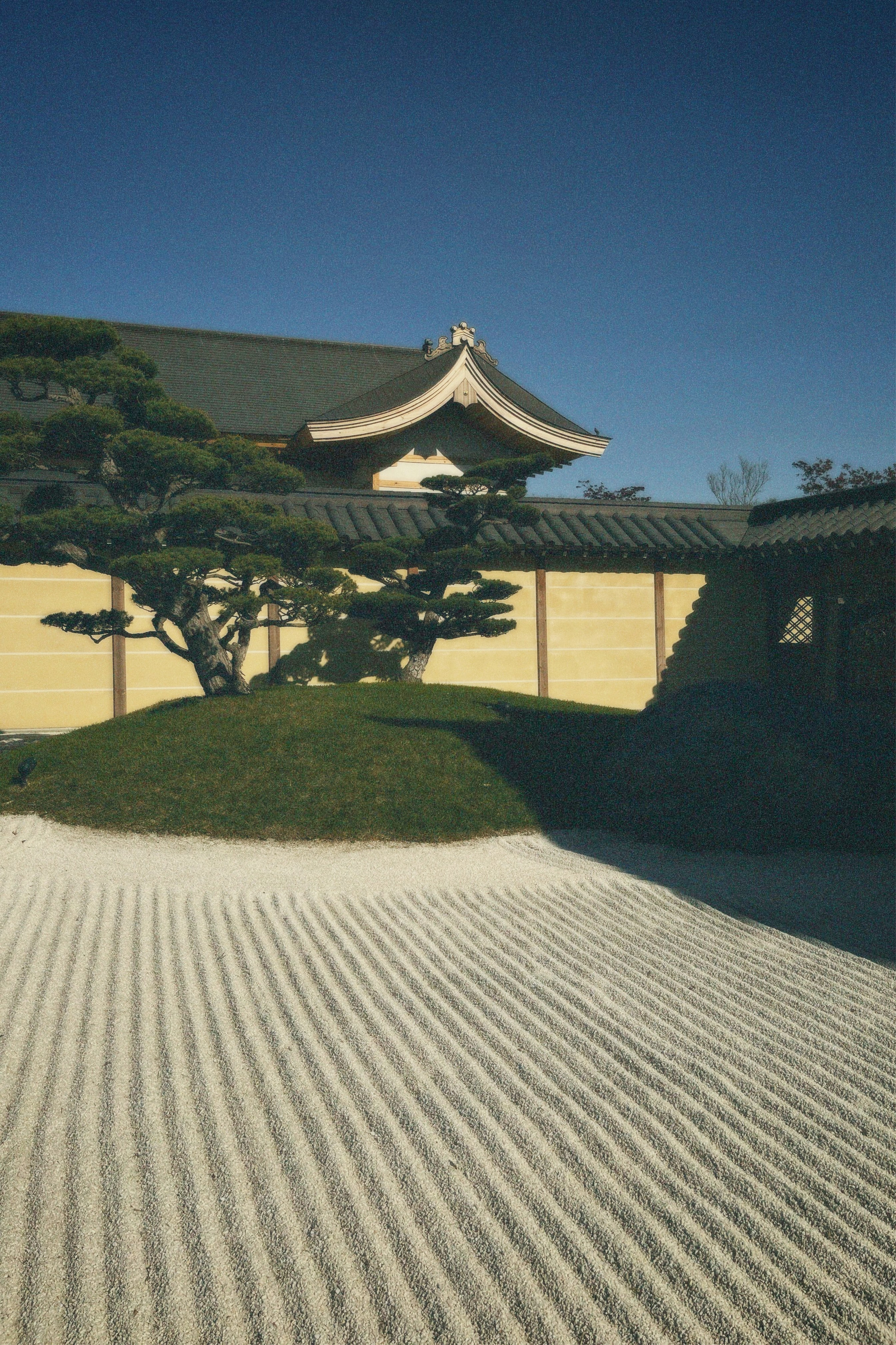 КРАСНОДАР. Портретный и лавстори фотограф в Стерлитамаке Альбина Шарт