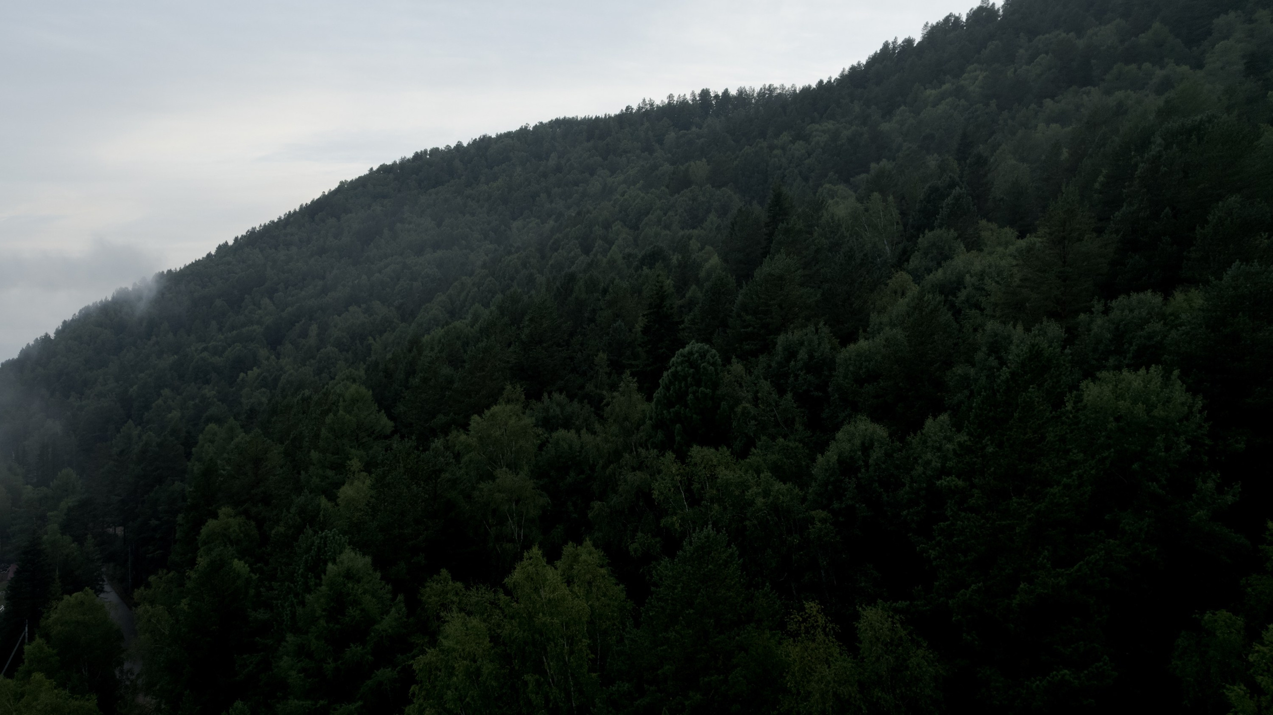 Захар и Виктория. Свадебный фотограф