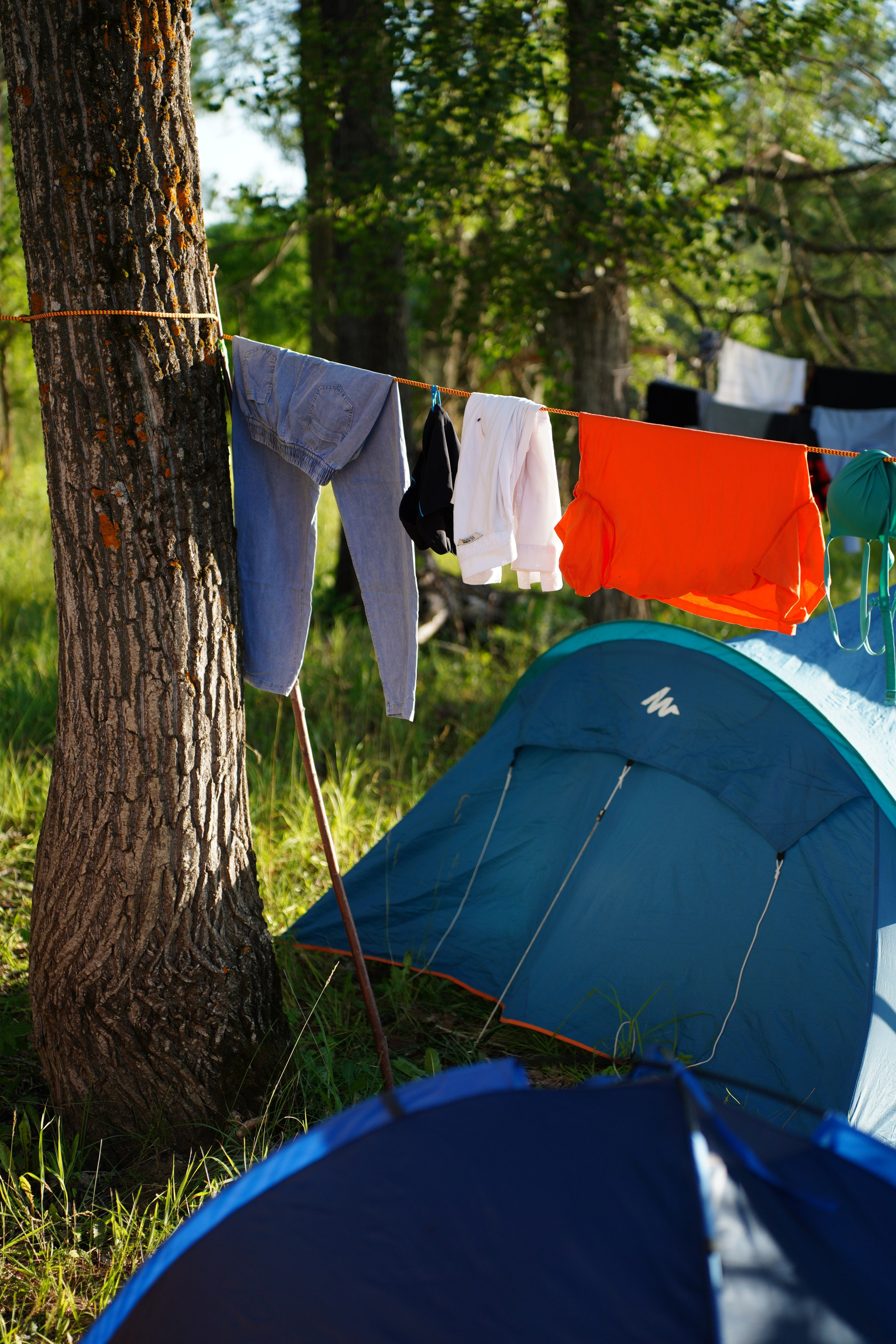 Репортажка. Pupov.png