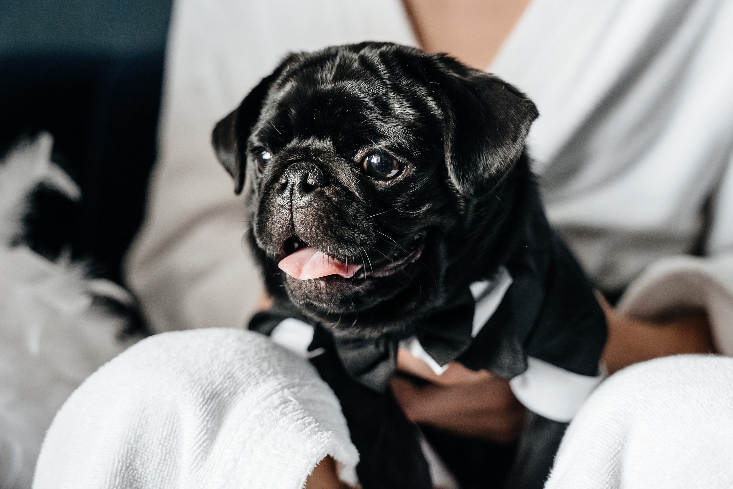 Юля и Ваня. Фотограф Кирилл Бабий