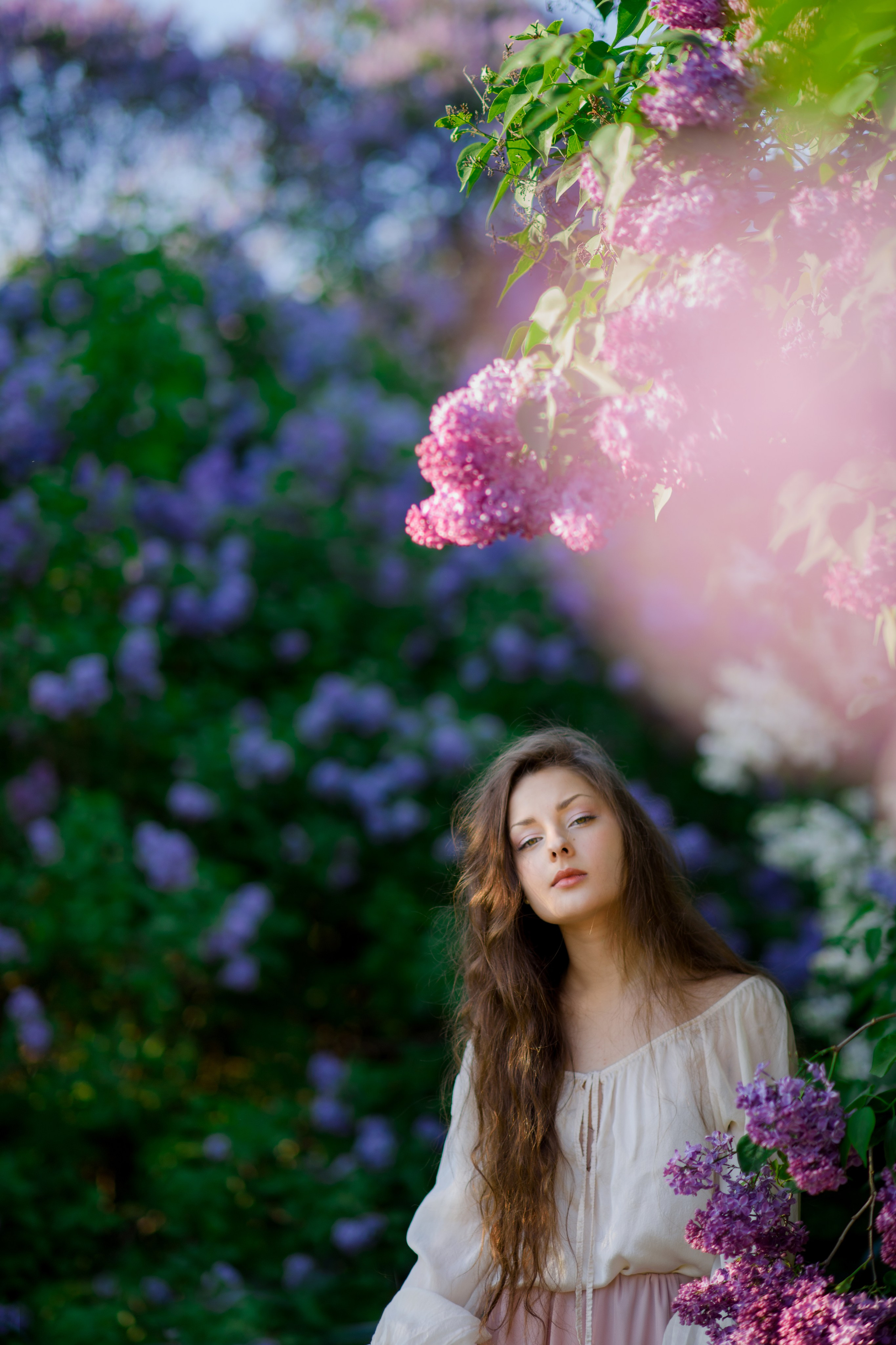 Фотосессия в сиреневом саду. Главная