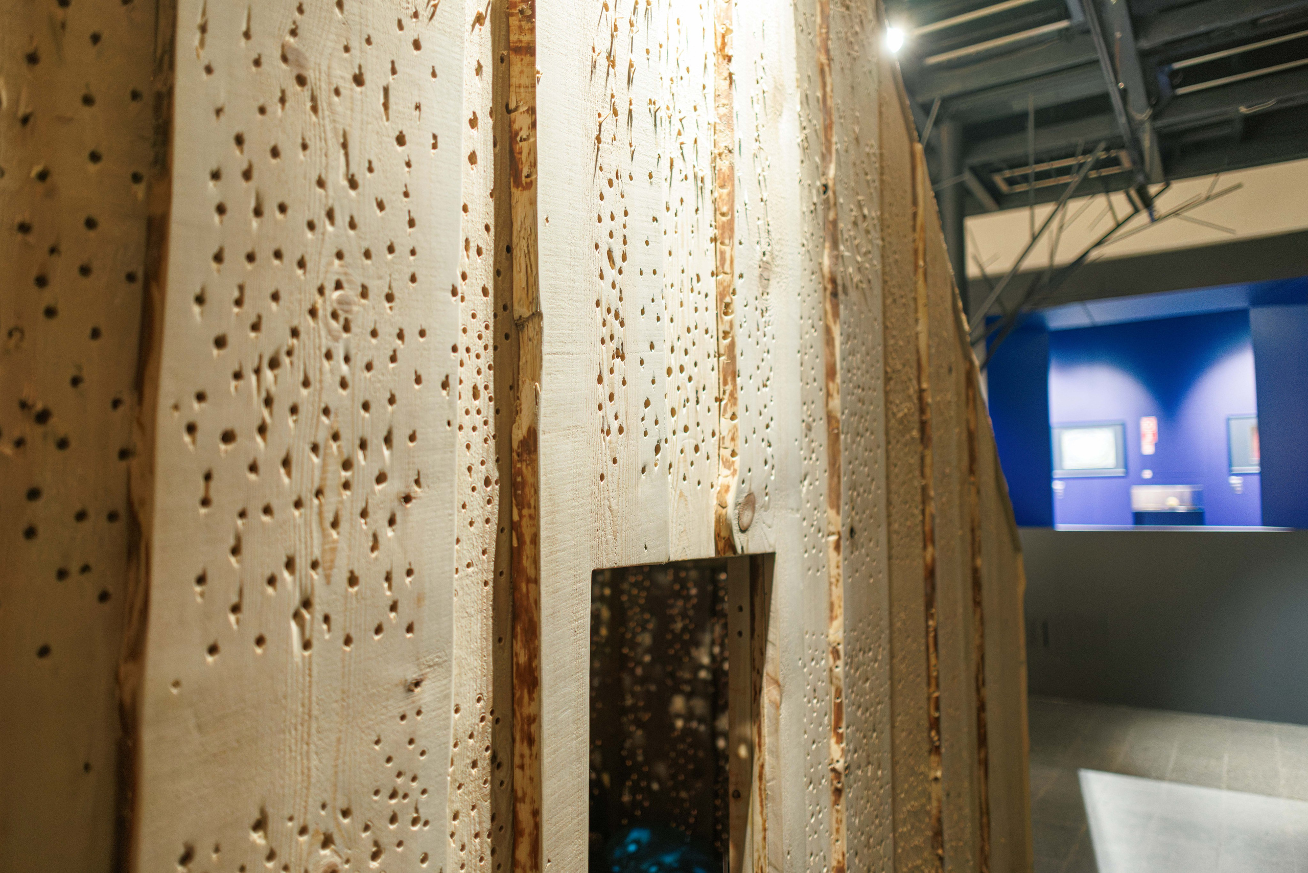 «Все Бенуа Всё Бенуа» в Манеже. Фотограф Балаев Михаил