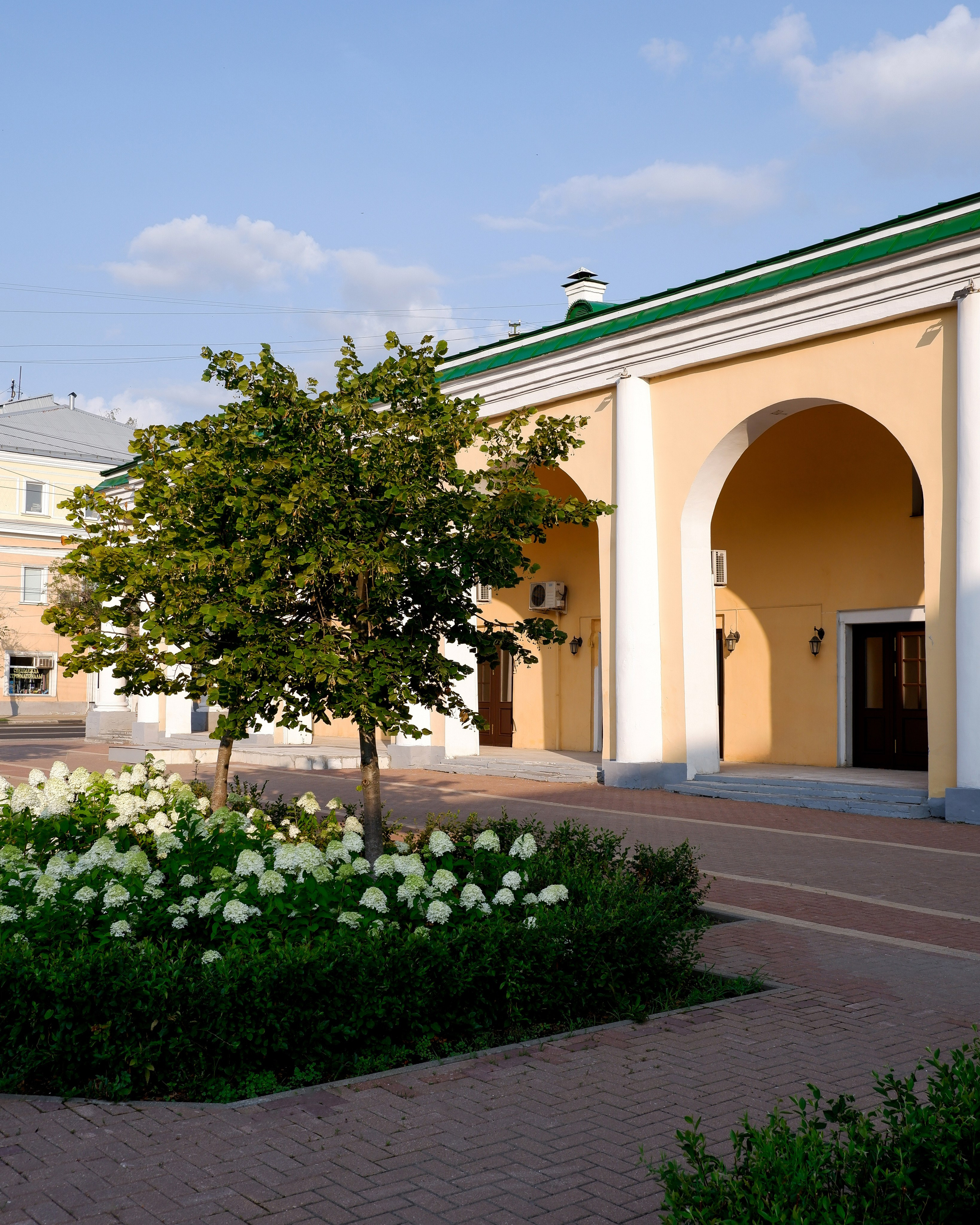 Сквер имени Павлова. Михаил Мулач | Архитектурный фотограф