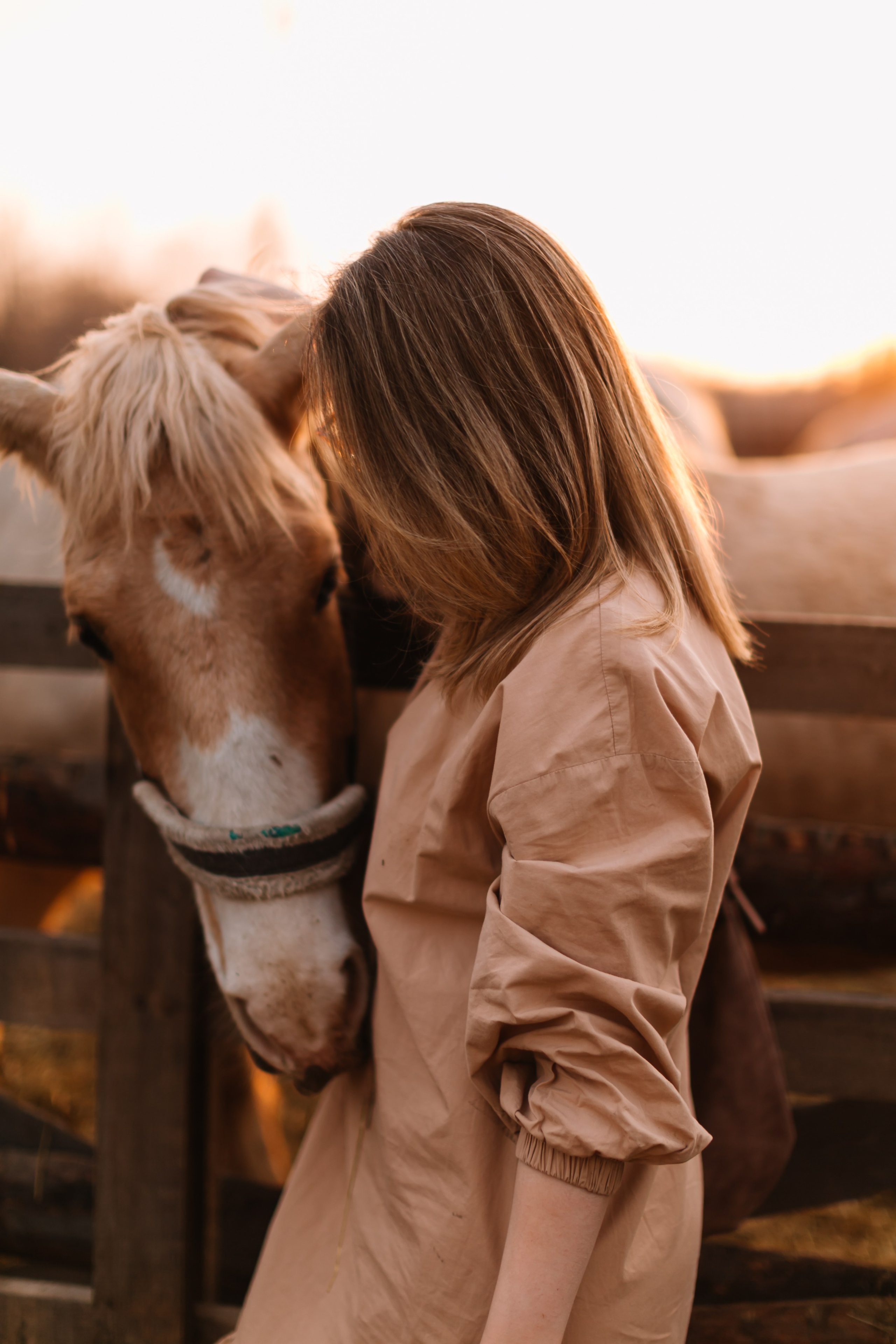 алёна малахова фотограф новосибирск семейный детский домашняя фотосессия в новосибирске день рождения репортажная съёмка фотосессия с лошадьми на конюшне деревня алтай  на природе фотосессия в детском саду мама и сын предложение руки и сердца идея  помолвка фотосессия берег закат детский день рождения годик торт аниматор лофт игровая продолжение следует prodoljenie_sleduet_  корпоратив тимбилдинг первоклашка линейка  контент  бизнес портрет