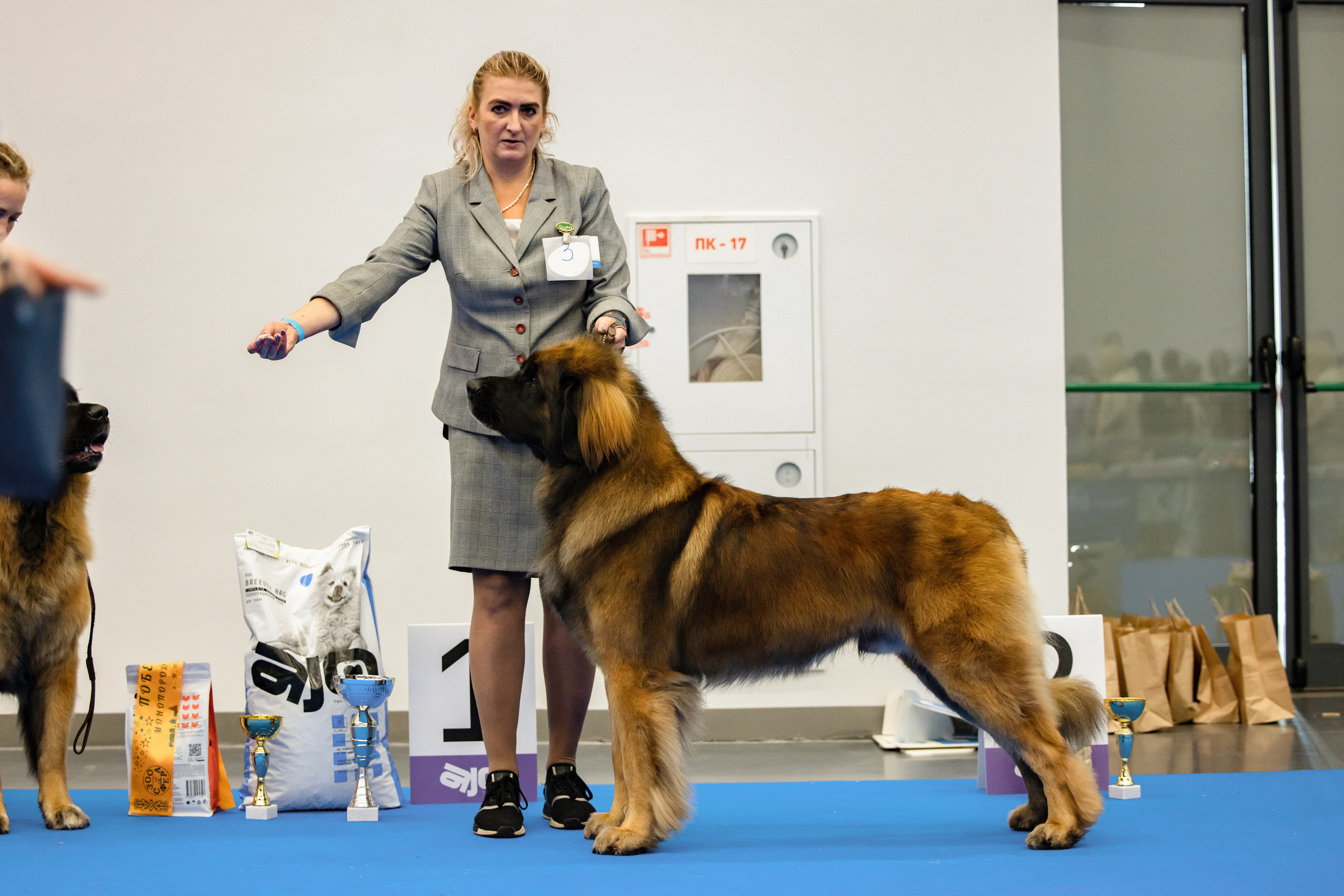 Нижний Новгород 21-22.10.2023. Фотограф-анималист Юлия Германика