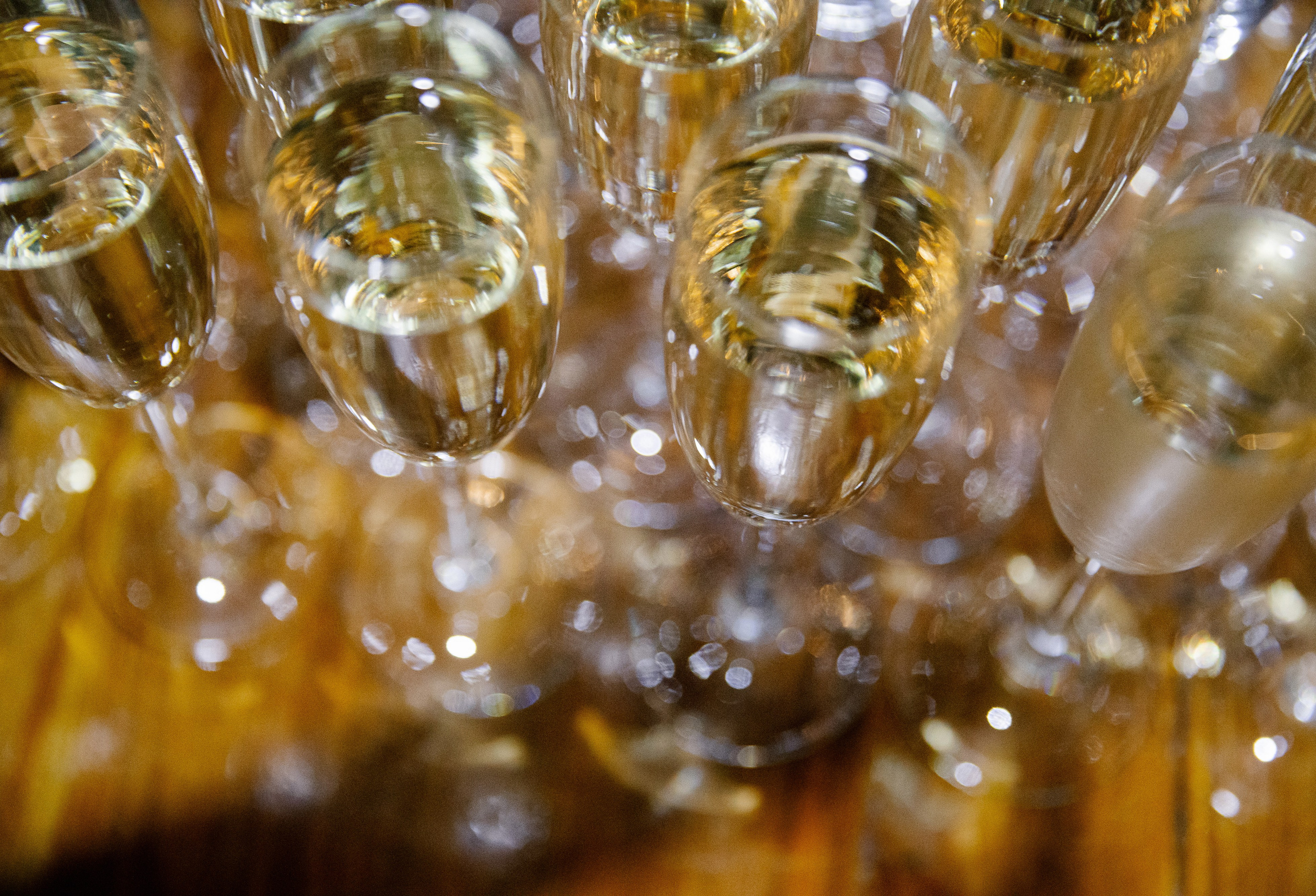 Europegym. Свадебный фотограф Москва Анна Шилова